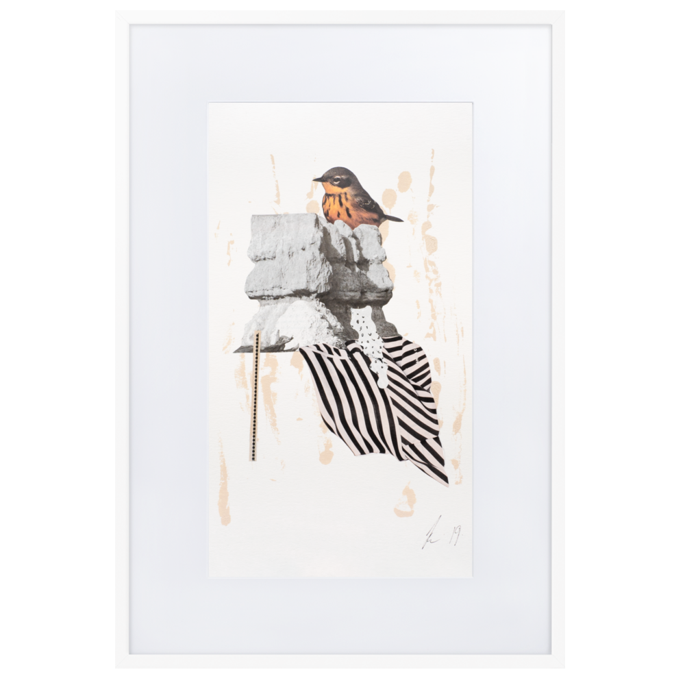 matte-paper-framed-poster-with-mat-(cm)-white-61x91-cm-transparent-6379178a3403f.png