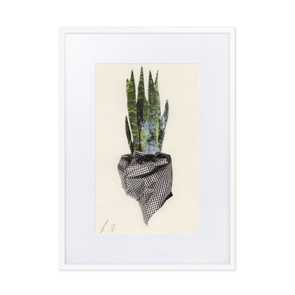 matte-paper-framed-poster-with-mat-(cm)-white-50x70-cm-transparent-6379188a9313e.png