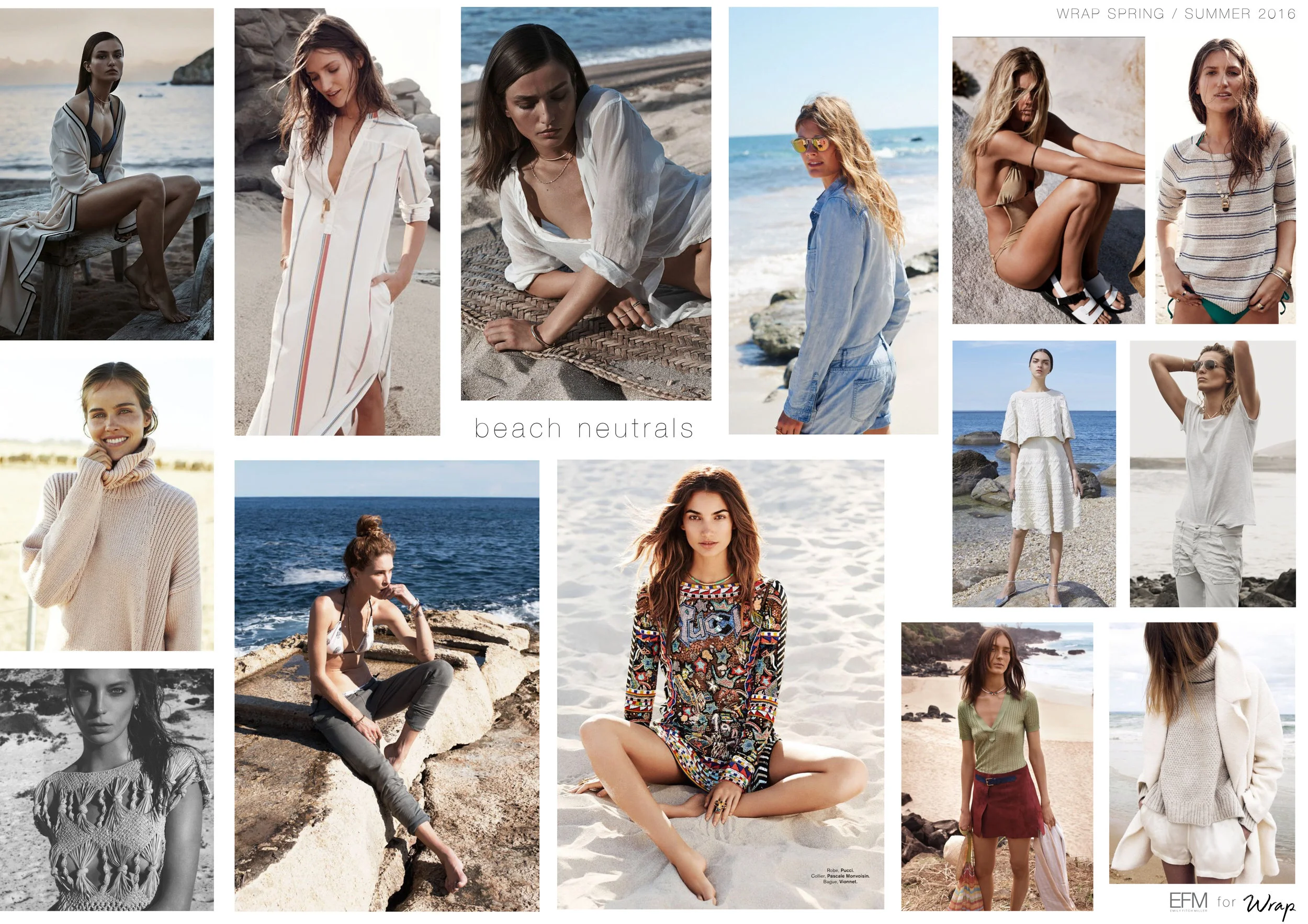 EFMs-s16-2-2 copy.jpg