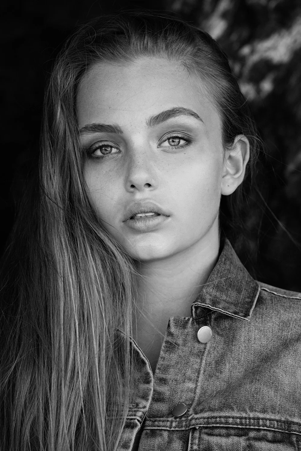 Laina model division .jpg