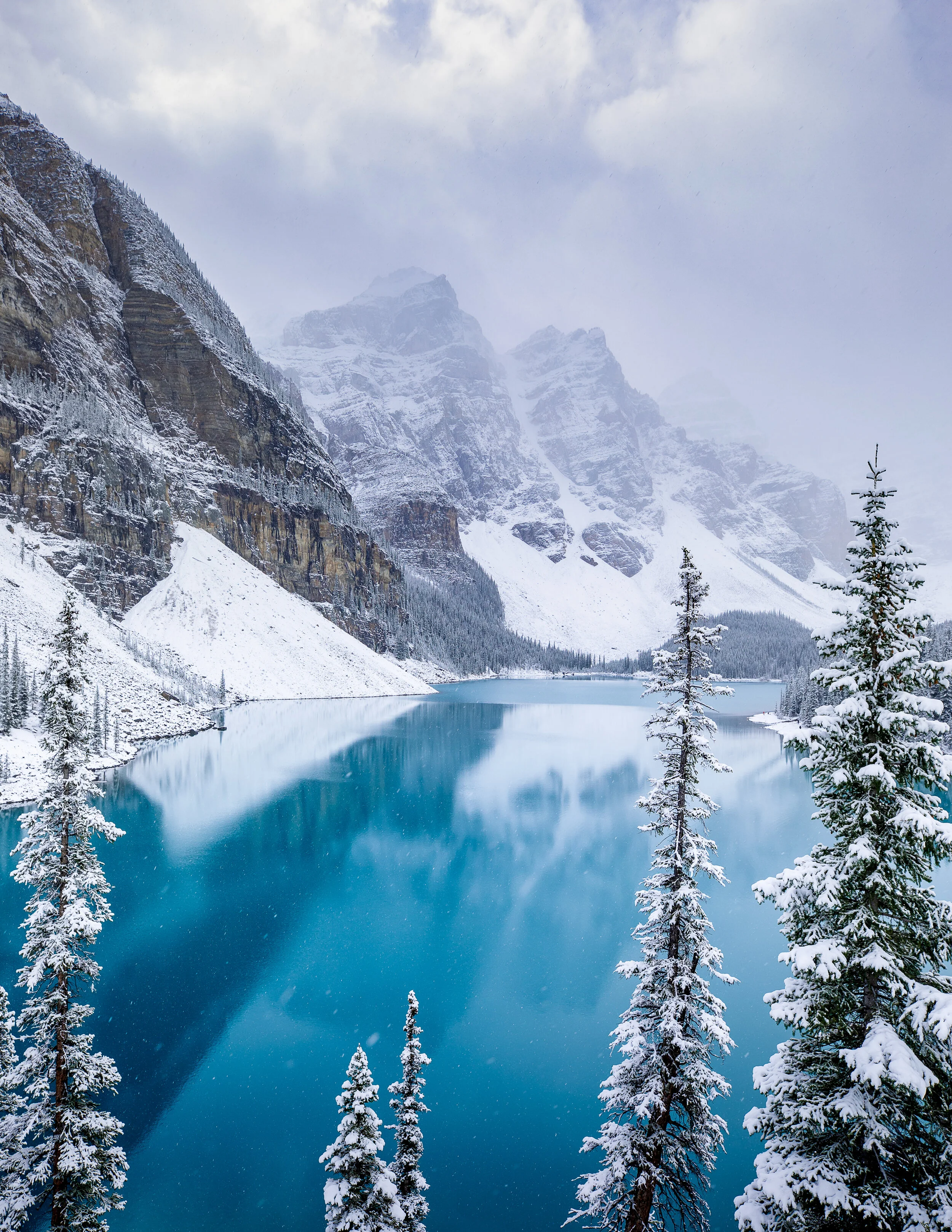 Winter Dreams