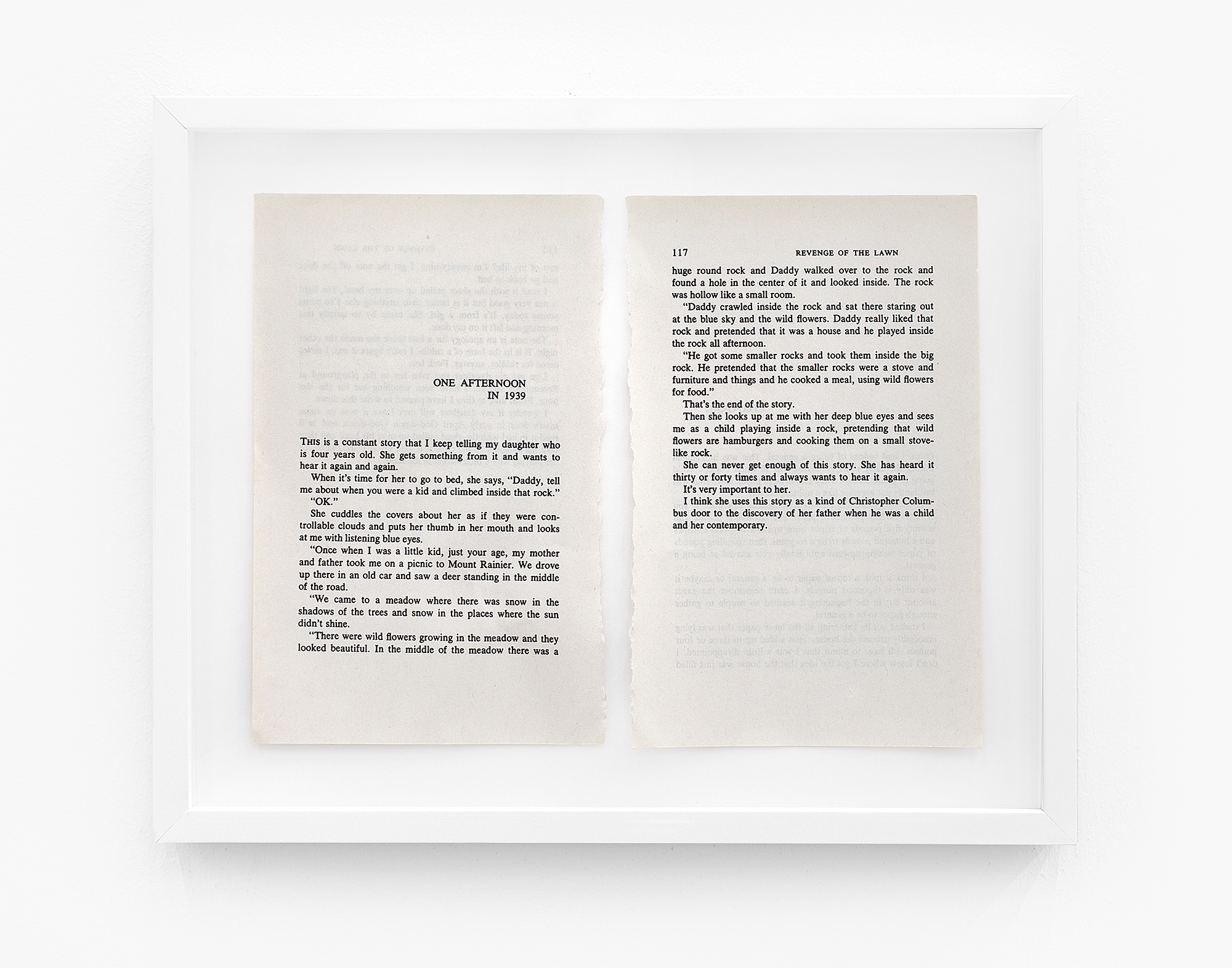Book Pages.jpg