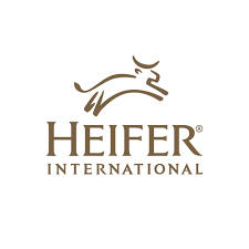 Heifer.jpg