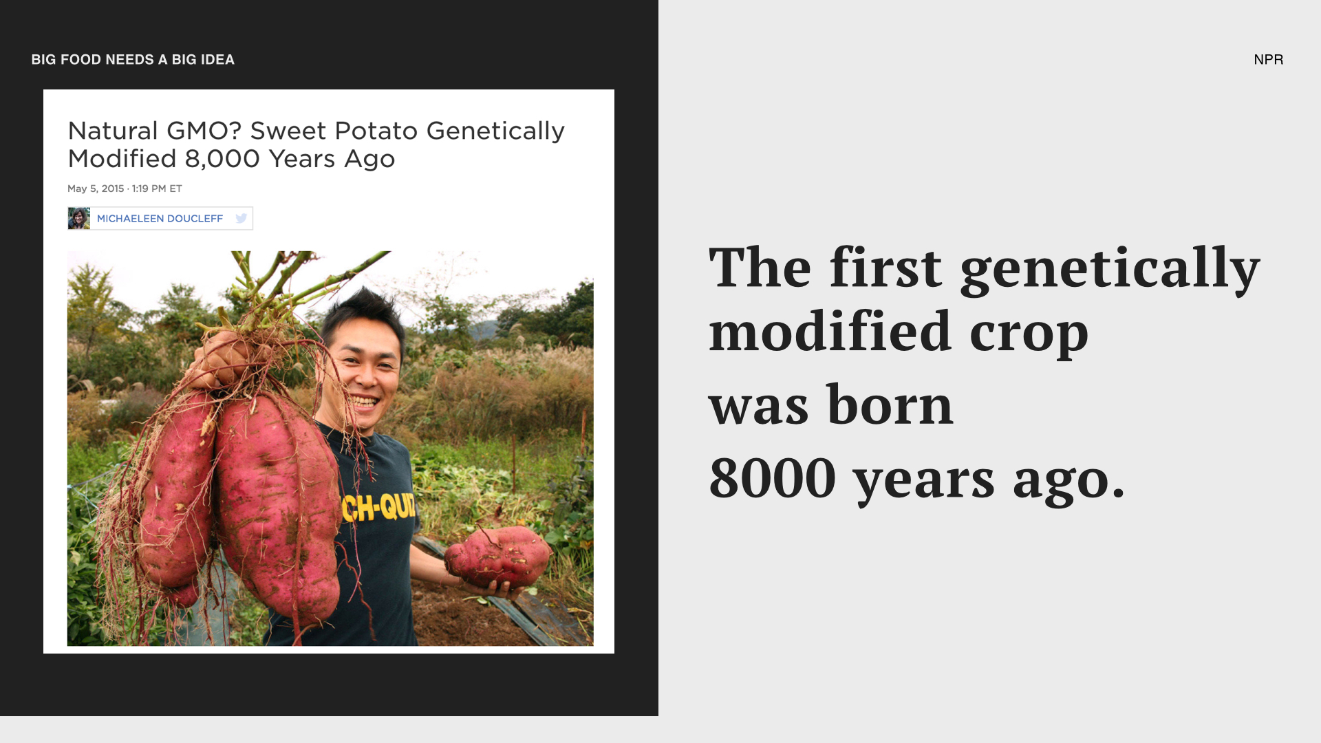  Did you know it wasn’t a mega-corporation, who created the first genetically modified crop? 8,000 years ago nature was the engineer, allowing a new root to form from a particular formula of soil and bacteria. And the result is sweet potatoes all aro