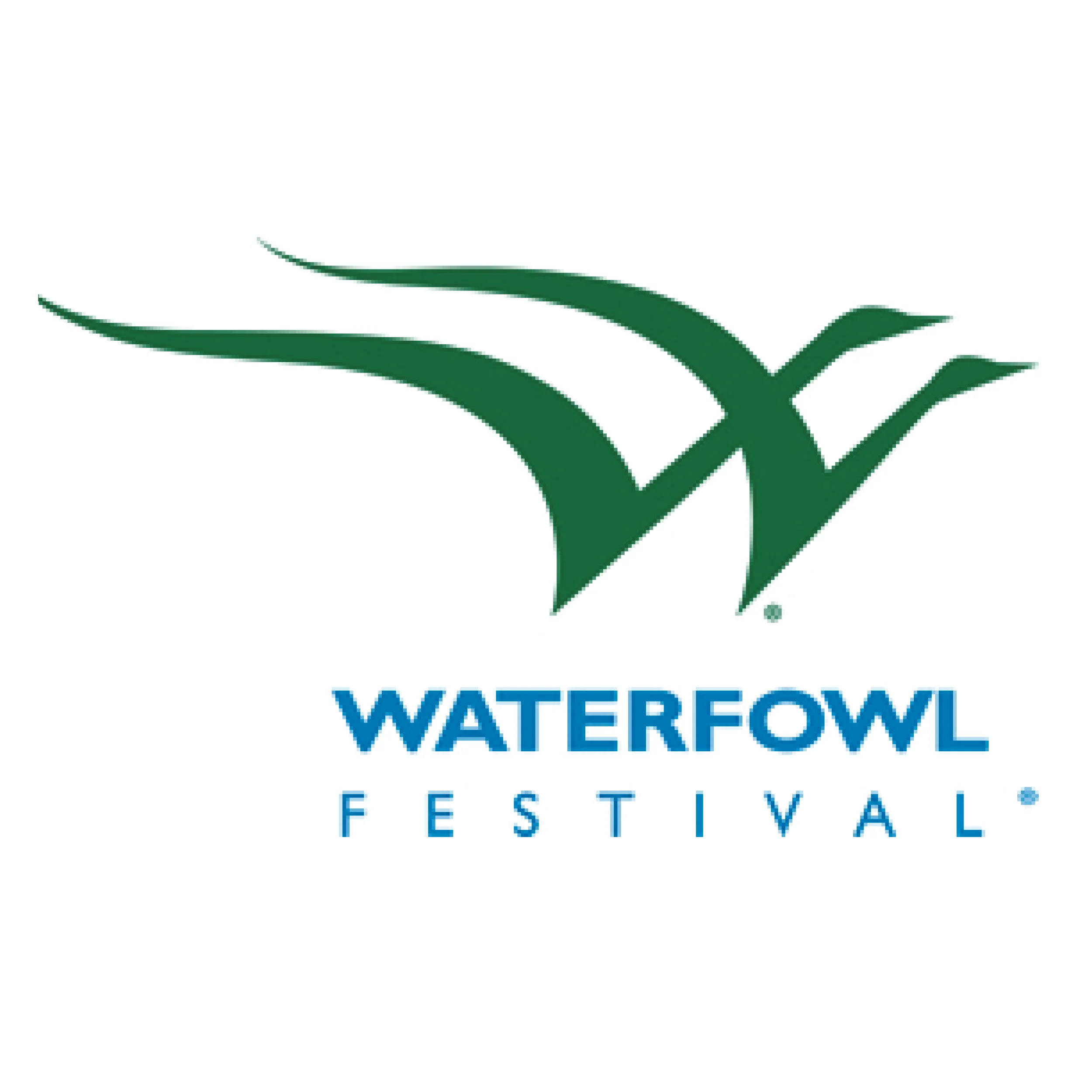 Easton Waterfowl Festival