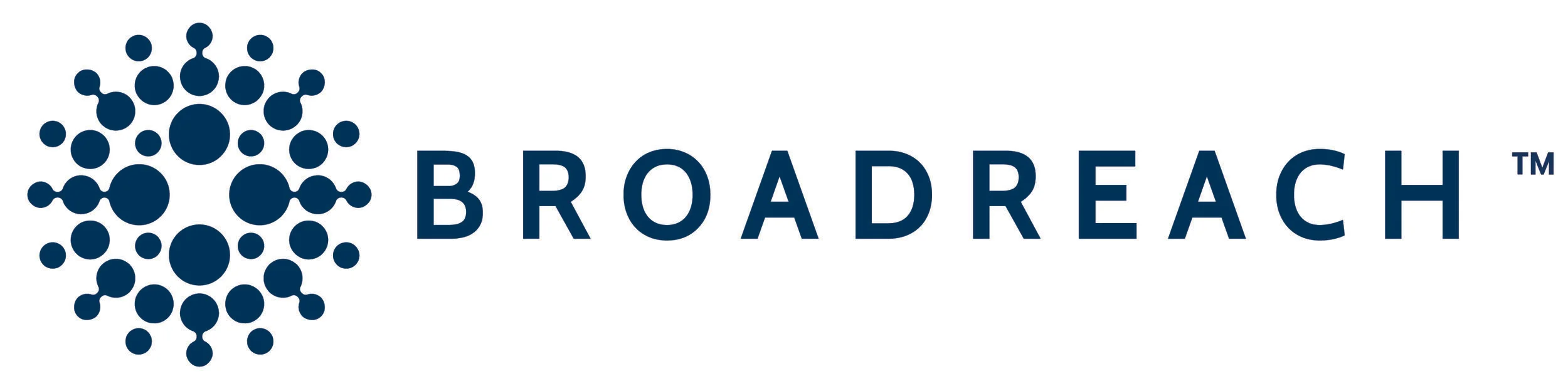 logo BroadReach (CMYK).jpg