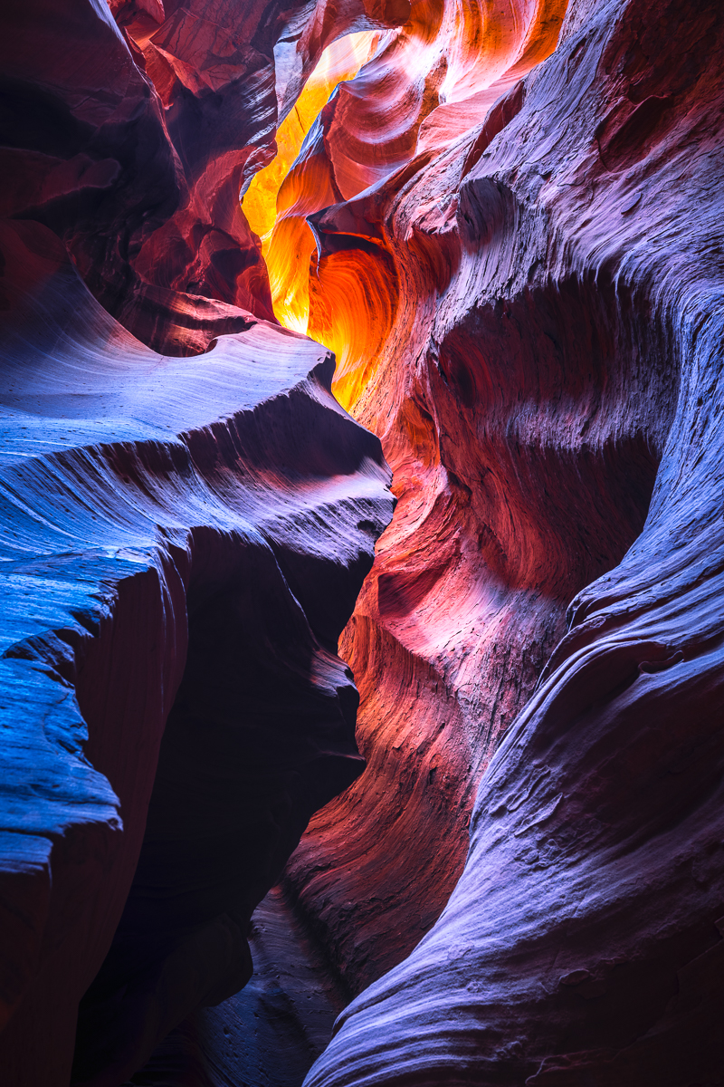 Lavender Canyon