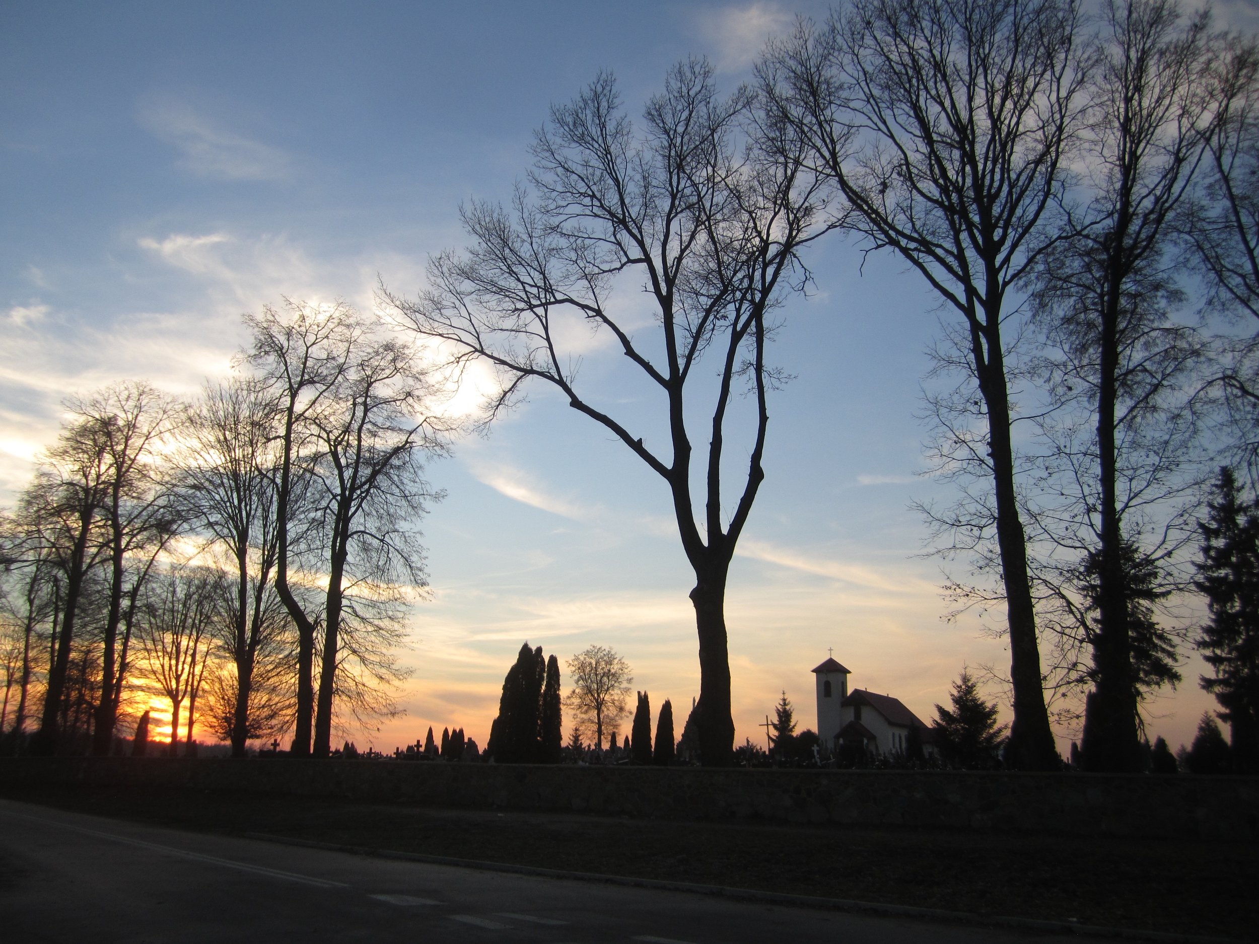 Zuromin cemetery.jpg