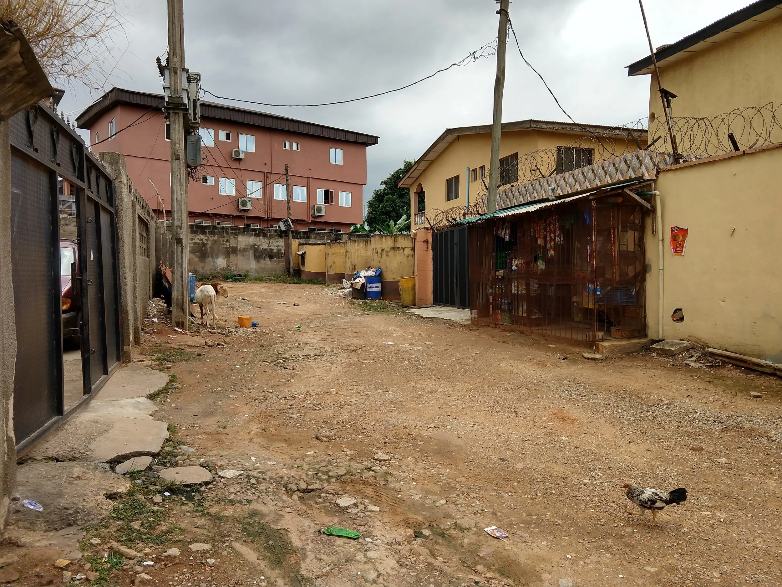 A chicken wanders a housing estate street in Lagos.
