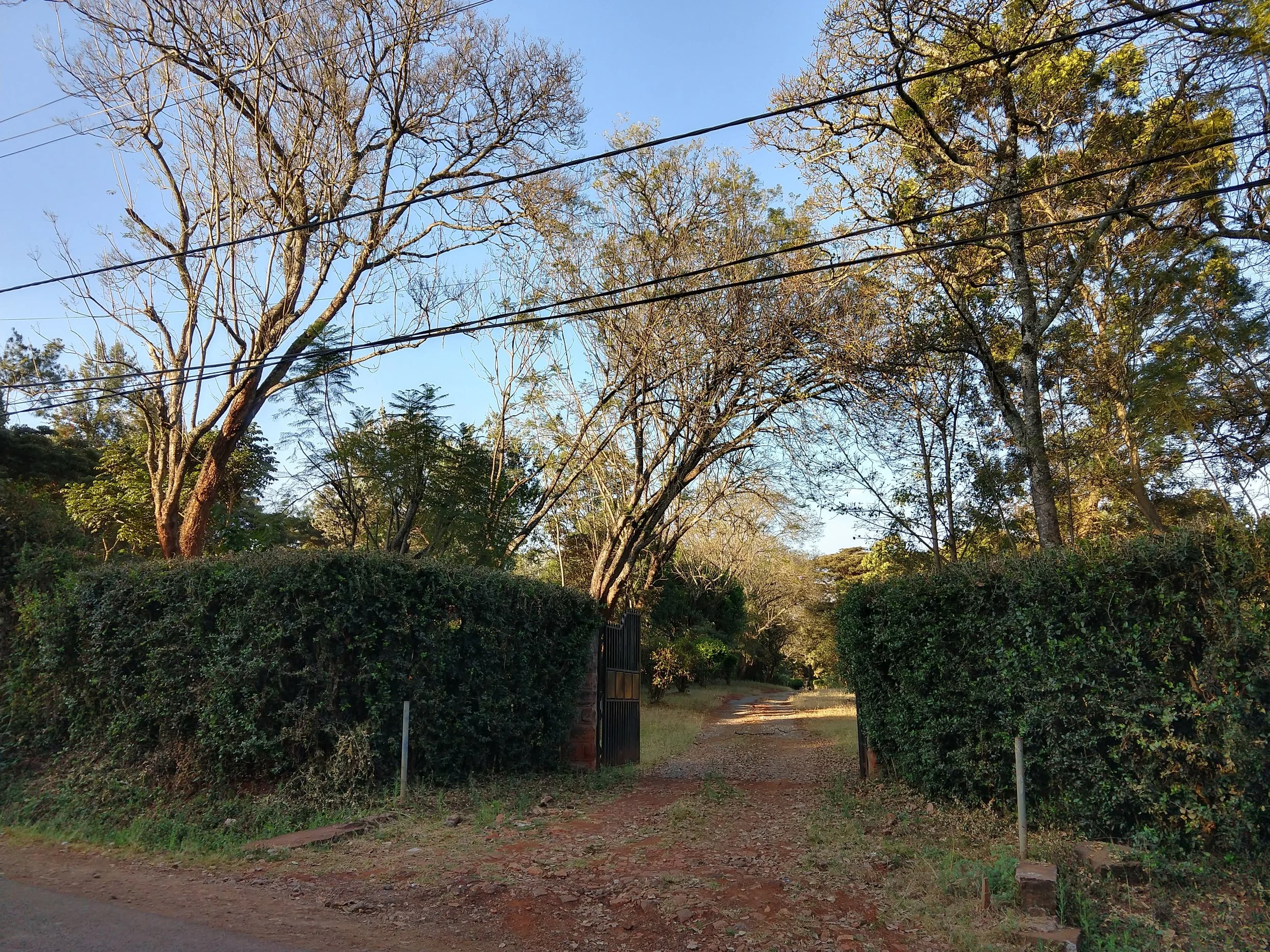 Some days in Nairobi, I managed to walk home. Shown here: a driveway passed in the wealthier neighborhood of Karen.