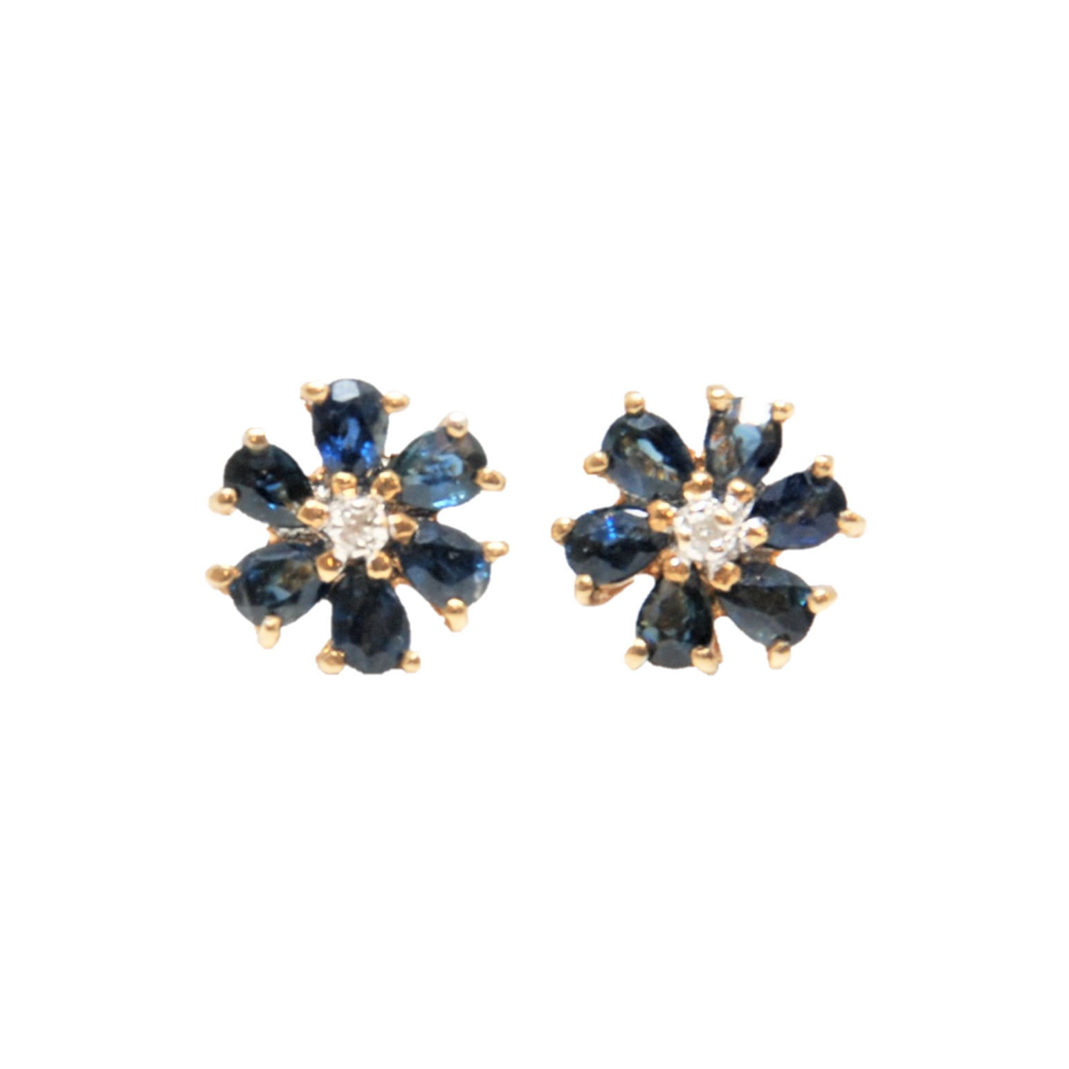 sapphire flower.png
