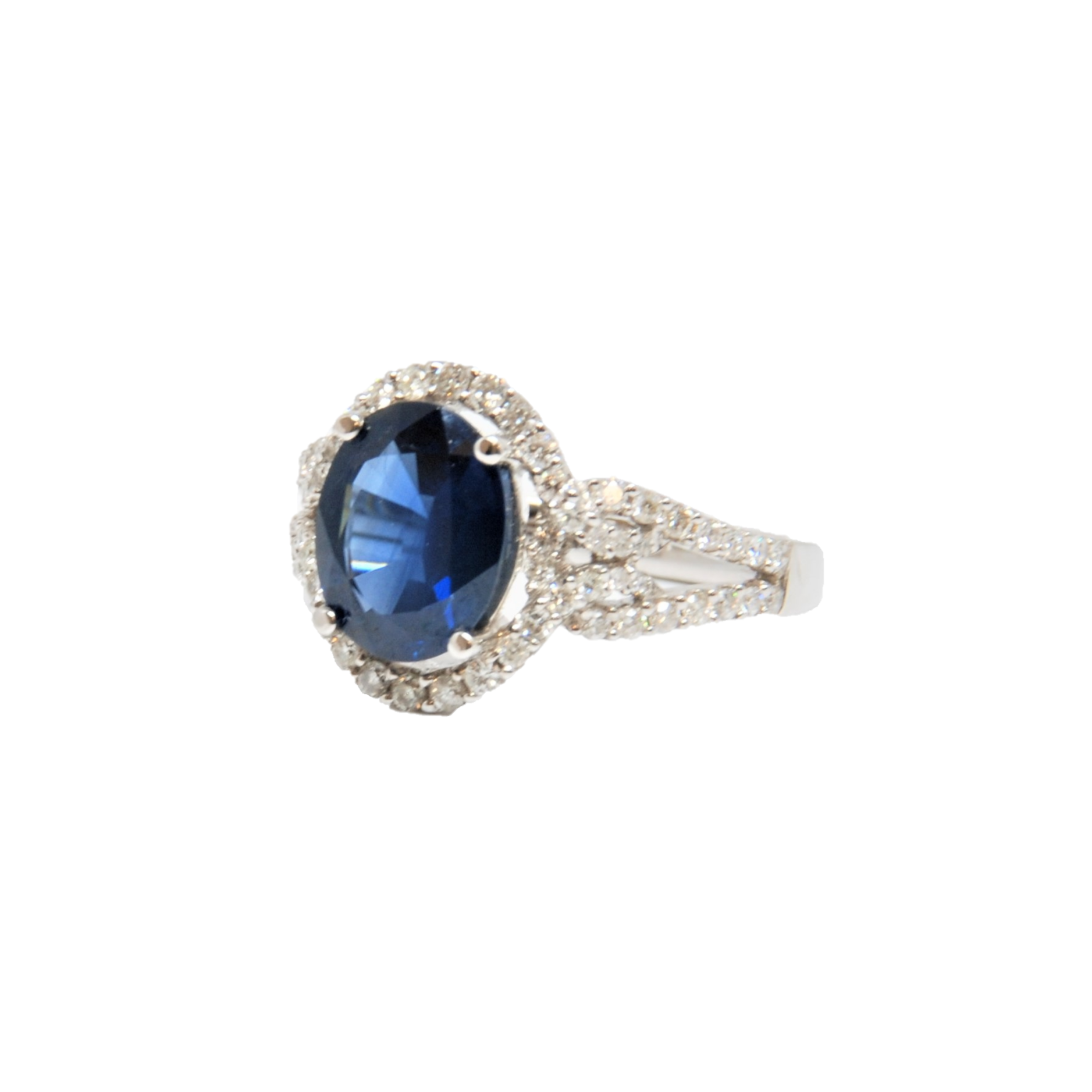 royal bluee.png