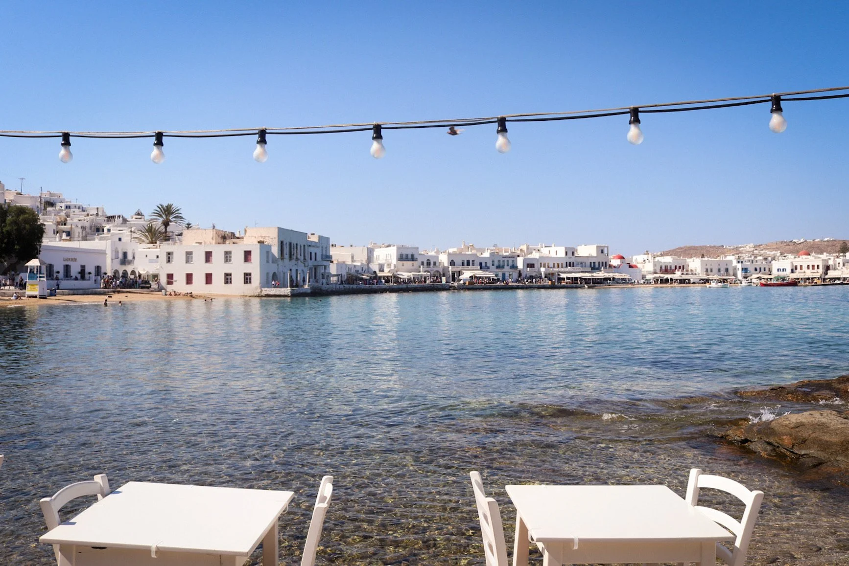 3F83FD9F-42FC-4CD7-9FB9-68CF0B803B87 2.JPEG