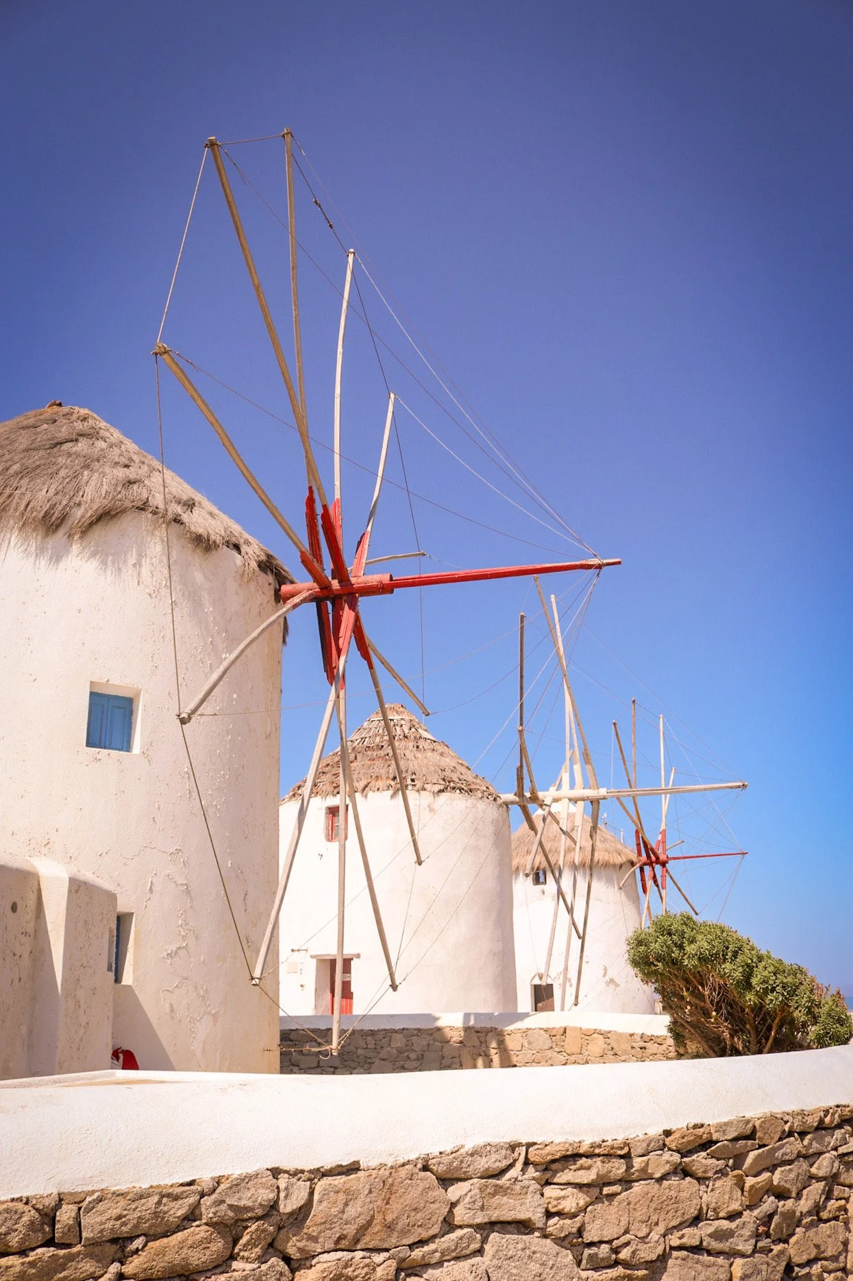 57D33123-0EC7-47D5-AFE1-ADD7E717ED7D 2.JPEG