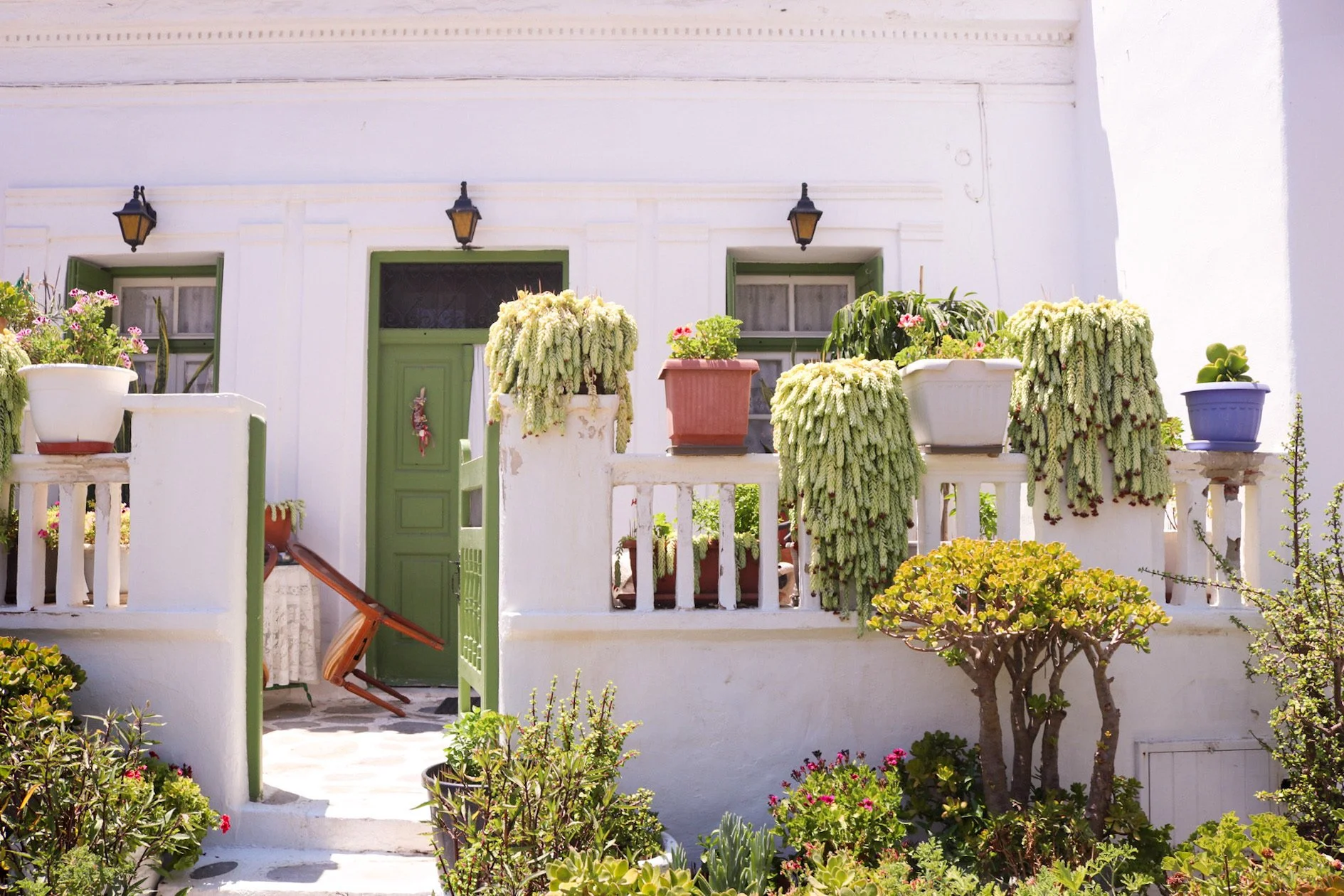 67012E5C-756B-414D-AA03-9C472EAD9DCE 2.JPEG