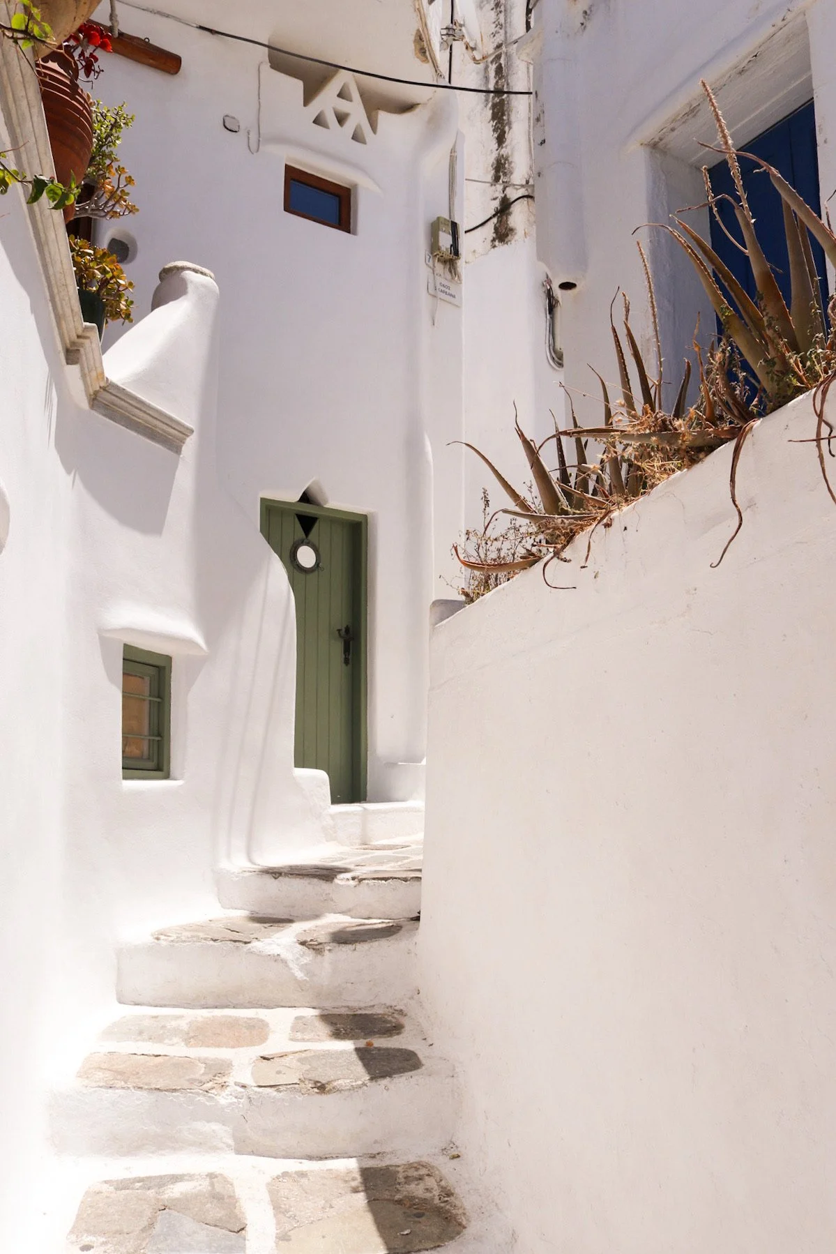 DDBB9A86-2F66-4A8D-9666-99EAC620E386 2.JPEG