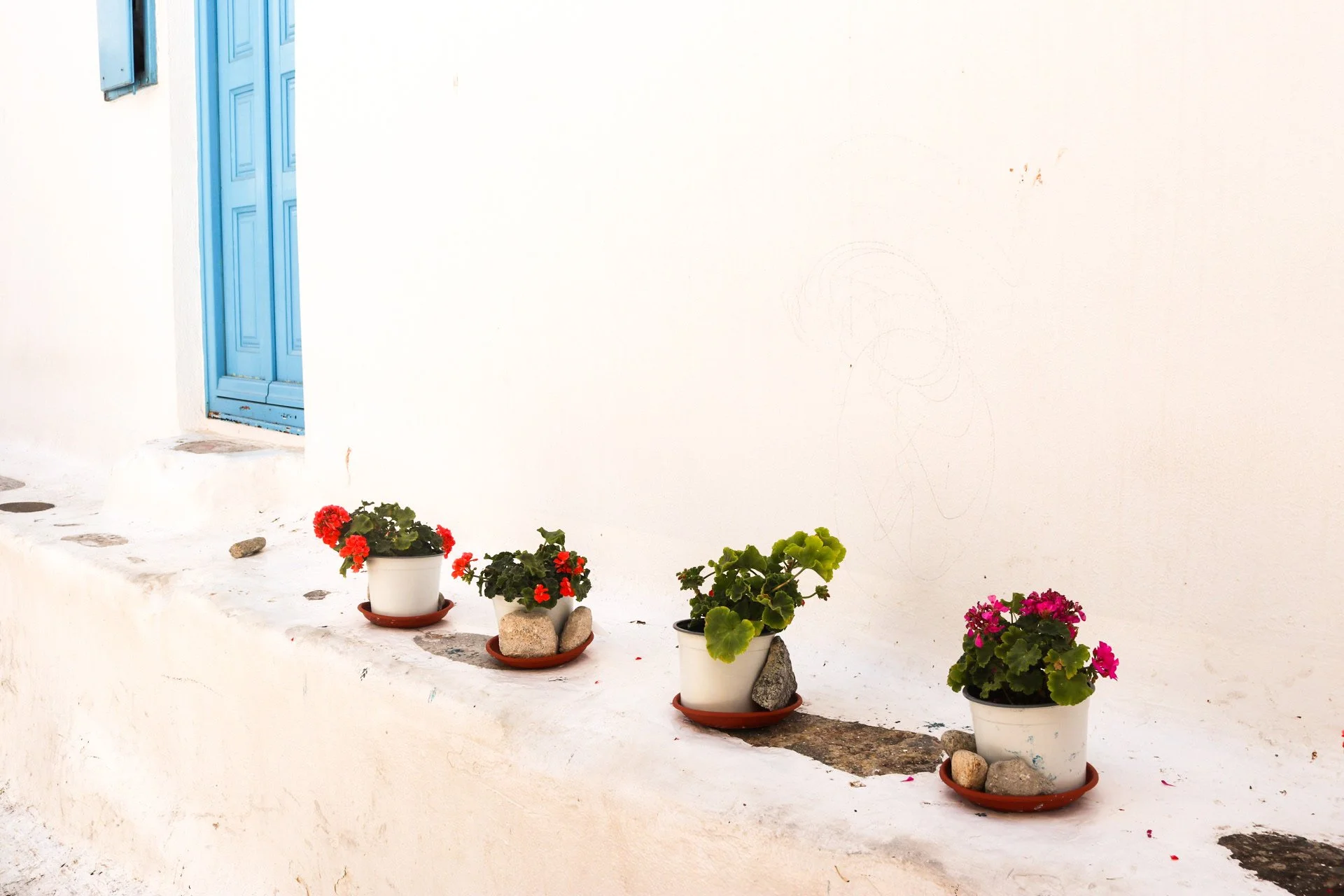 EDA6B708-1161-493C-BE28-43C6F350C9CD 2.JPEG