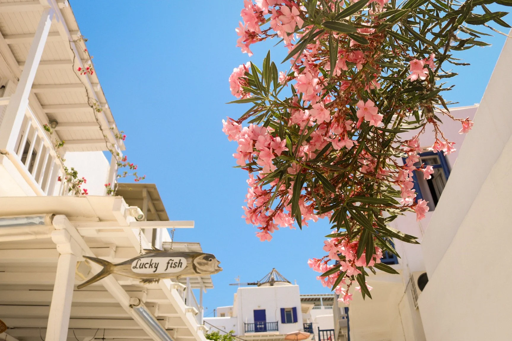 F2721DBB-5A15-4E74-B526-5134DCD455D9 2.JPEG