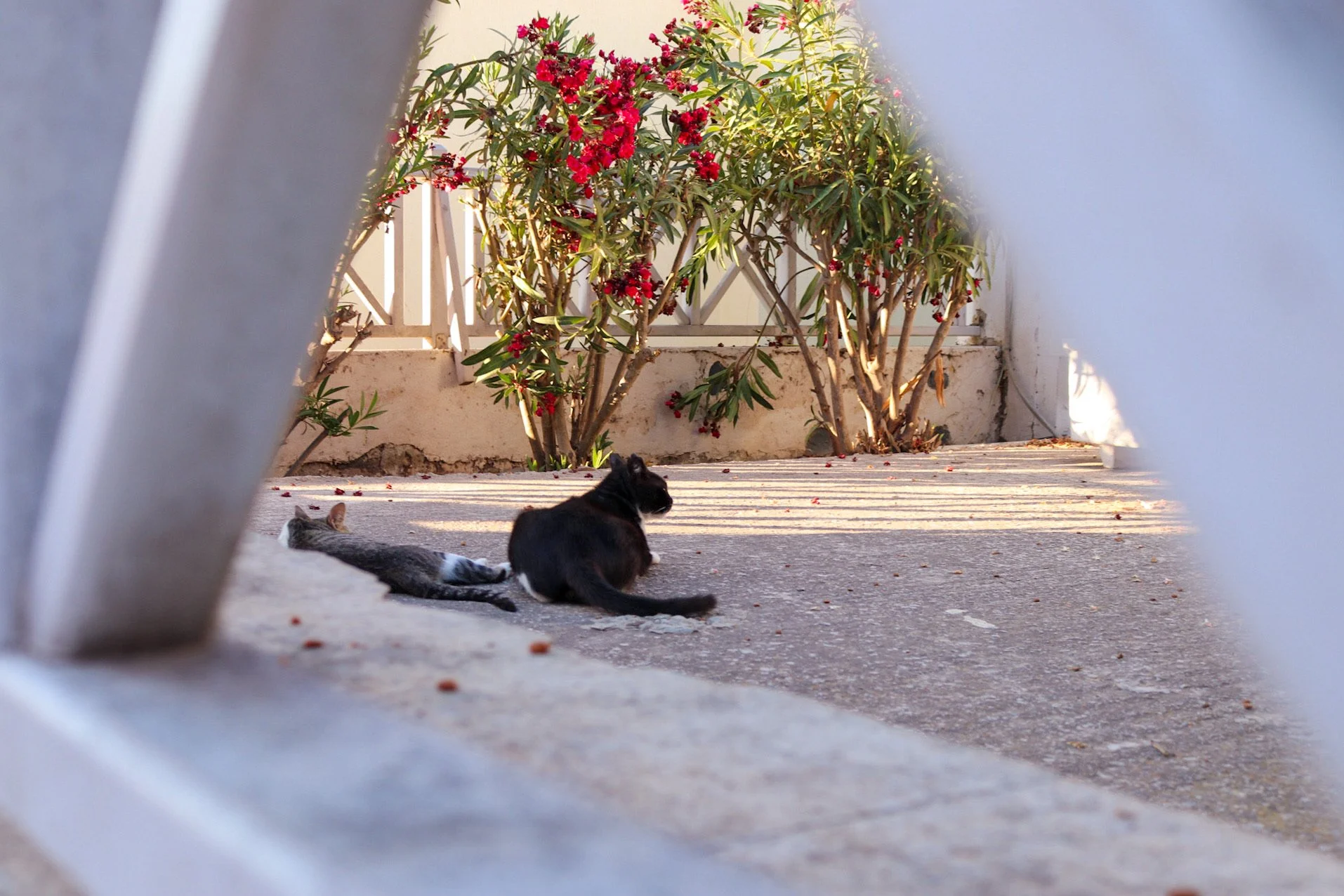 0FA7927D-448C-4A22-8497-7FACB3B17C38 2.JPEG