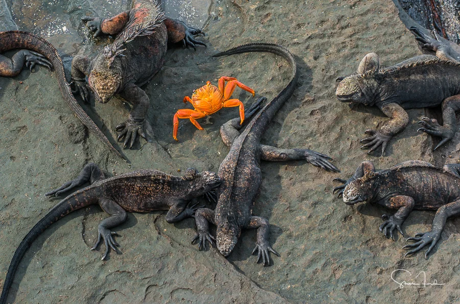 Surrounded