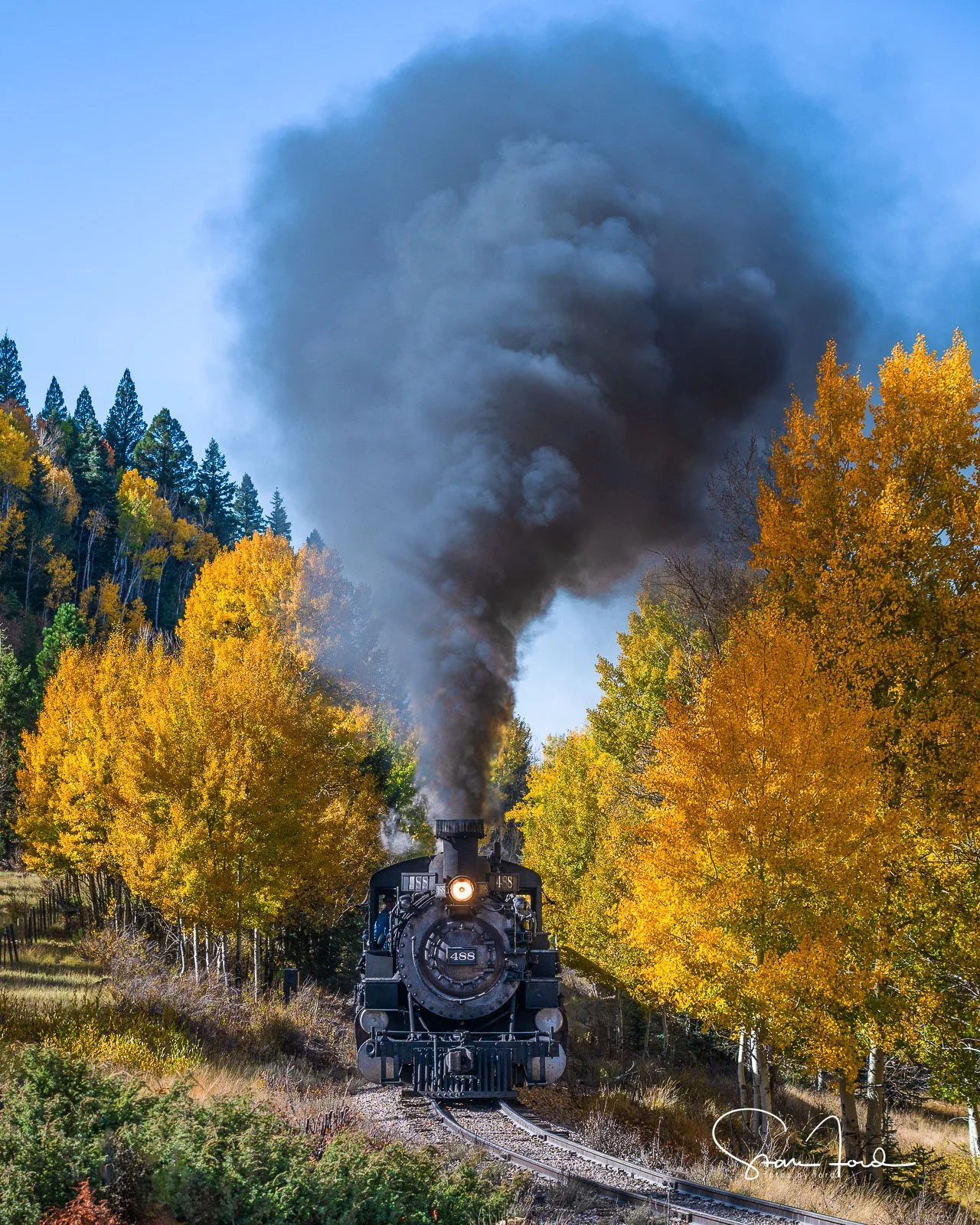 Autumn Train