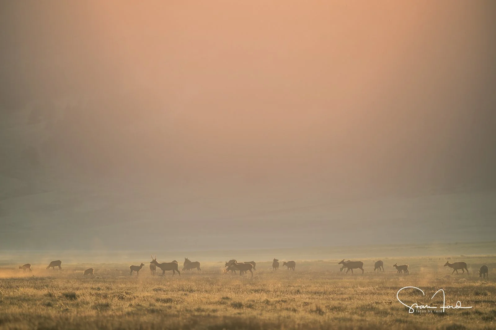 Misty Sunrise in Valle Grande