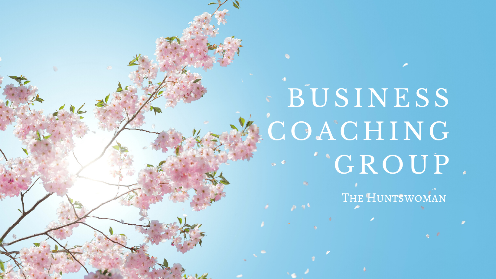 Business coaching group.png