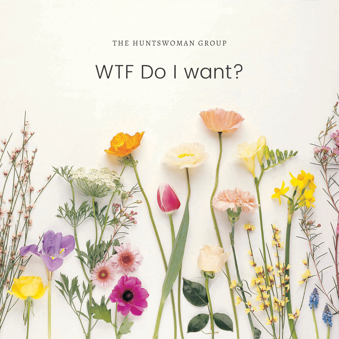 WTF Do I want.png