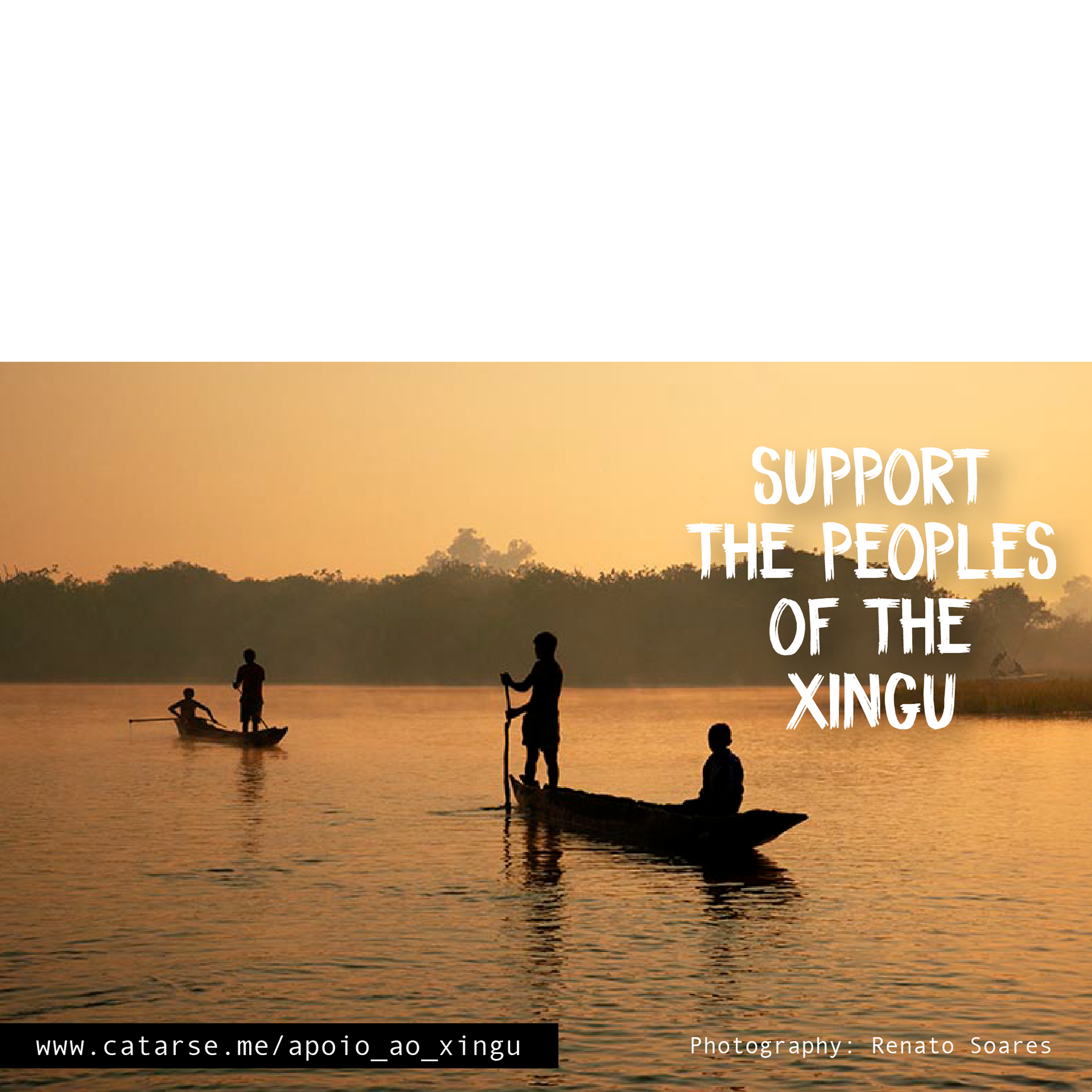 Support the Xingu Campaign
