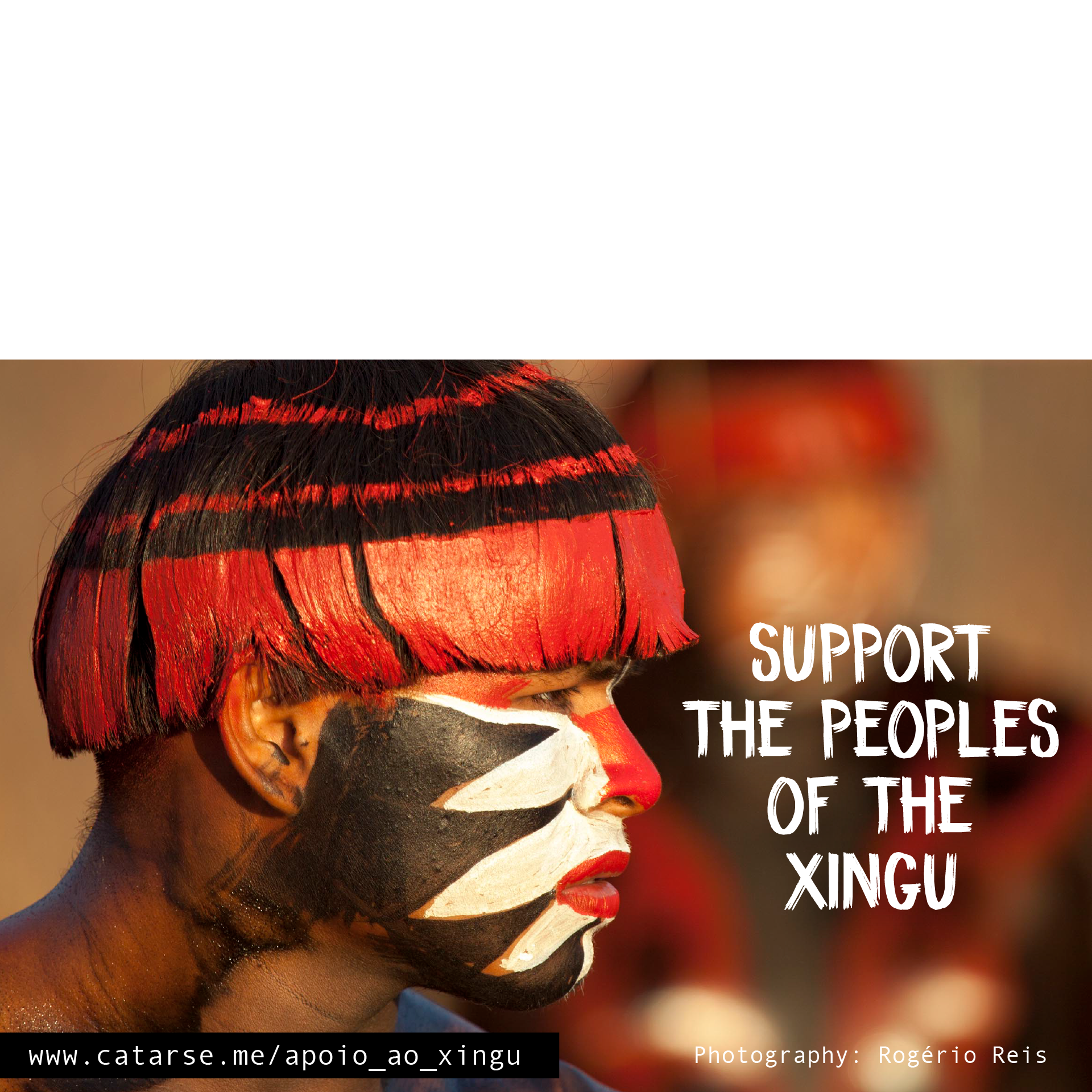 Support the Xingu Campaign