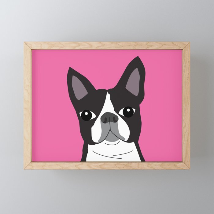 Boston Terrier Lilly Framed Mini Art Print