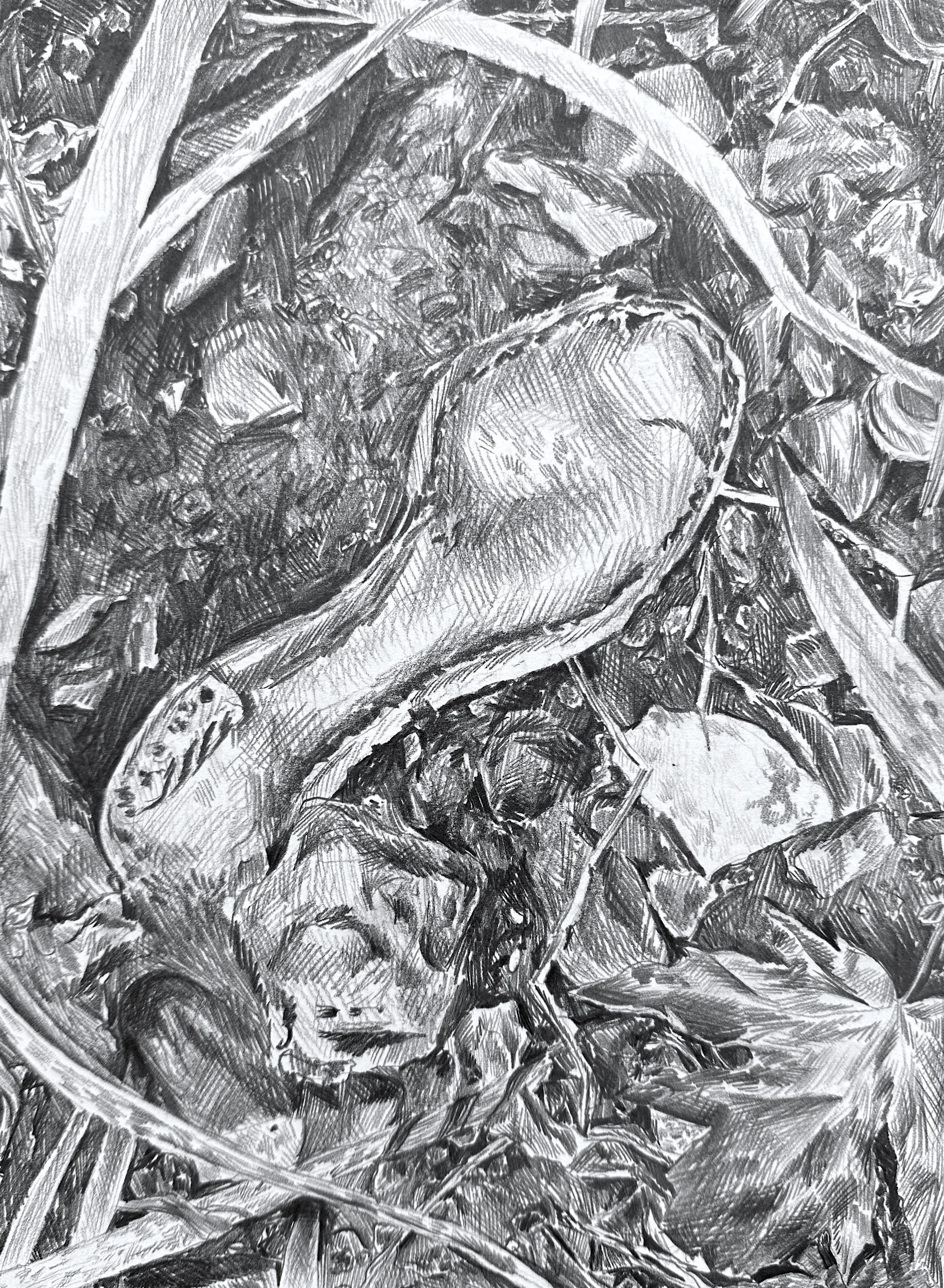 Muddy Shoe Sole