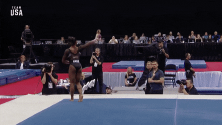 f863bf0d-a85b-4853-af6c-943fb2a9df6a.gif