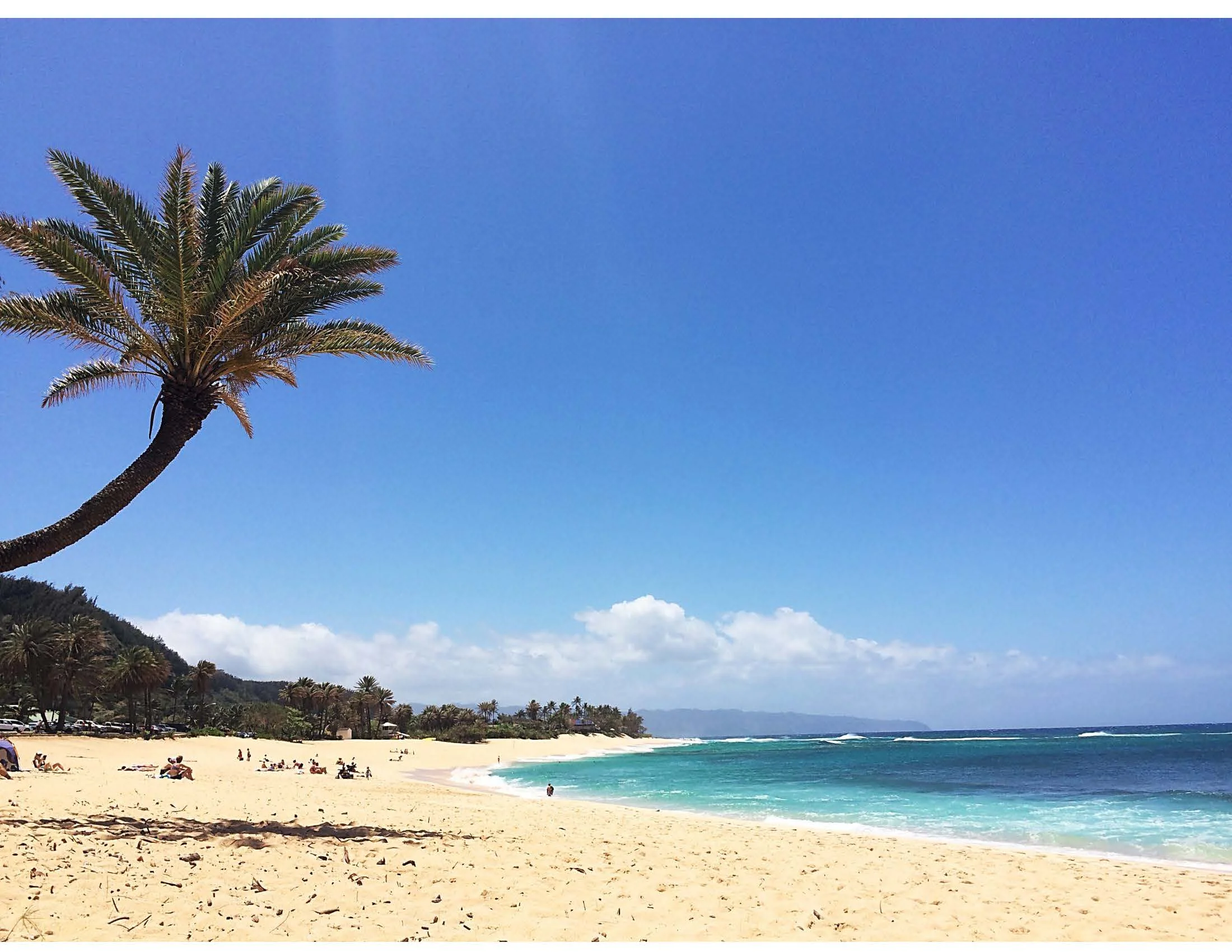 Top 5 Hawaii Favorites