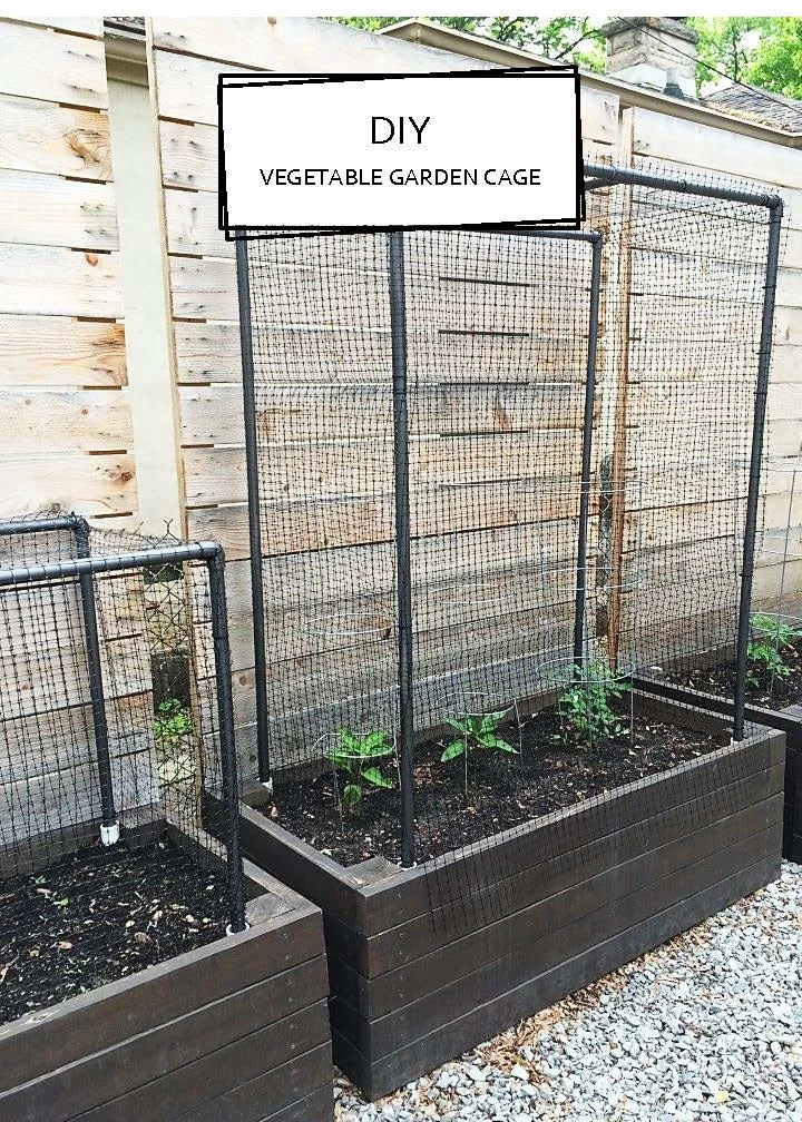 DIY | Vegetable Garden Cage
