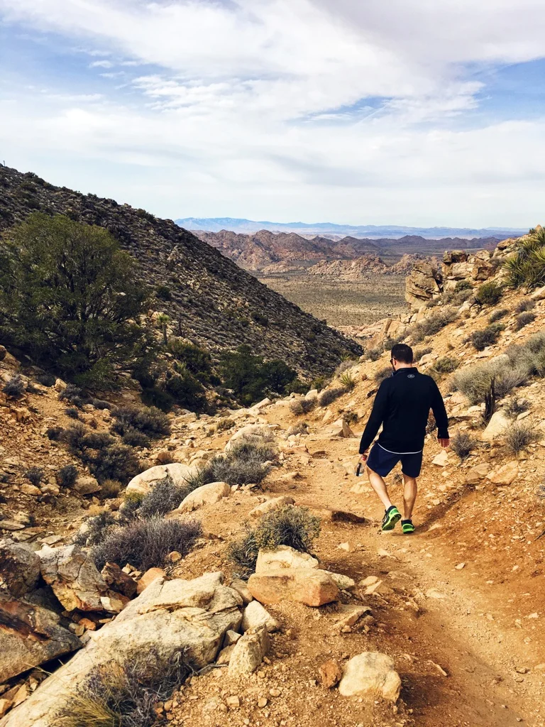 Joshua Tree Inspired Bathroom Update