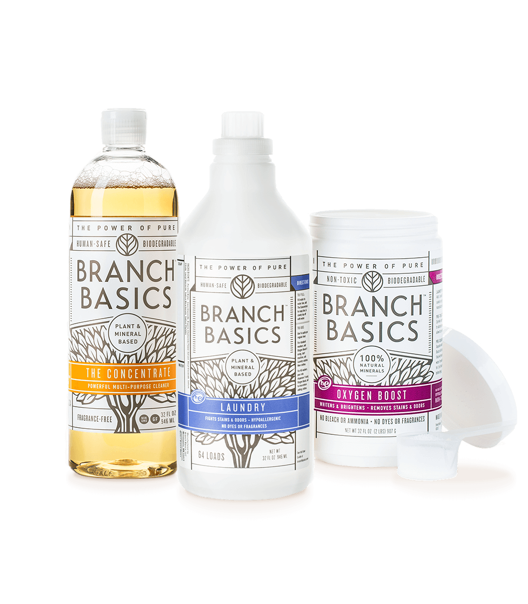 $59 | Branch Basics