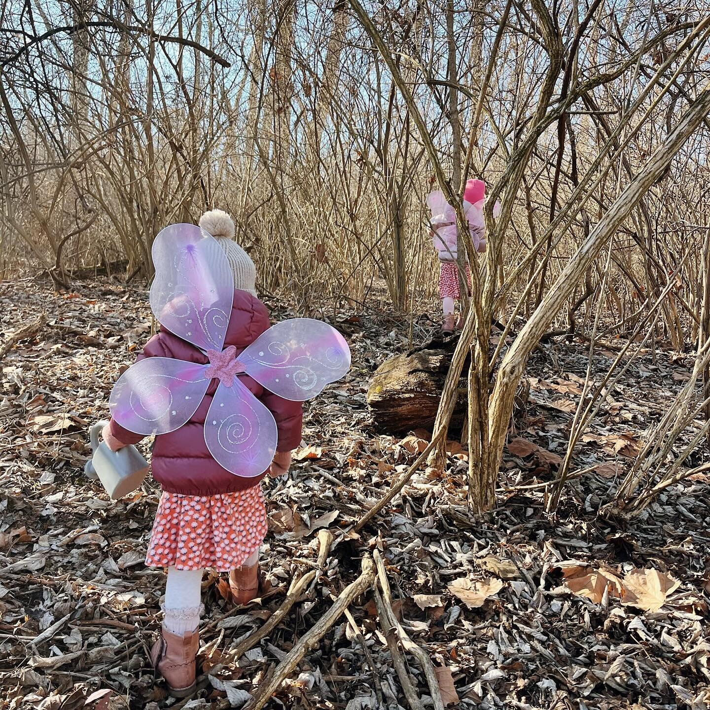 Because I want to remember these days of doing nothing more than traipsing through the woods in fairy wings with watering cans in hand forever. 🧚