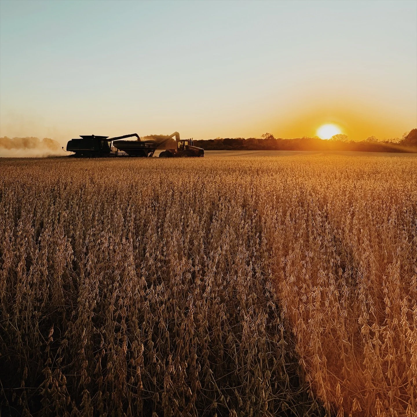 Zoe is obsessed with tractors, especially during harvest season. We have to go &ldquo;harvester hunting&rdquo; every evening after supper. If you see a car stopped on the side of the road endlessly watching tractors, it&rsquo;s just us. 👋🏻 😂 

Tyl
