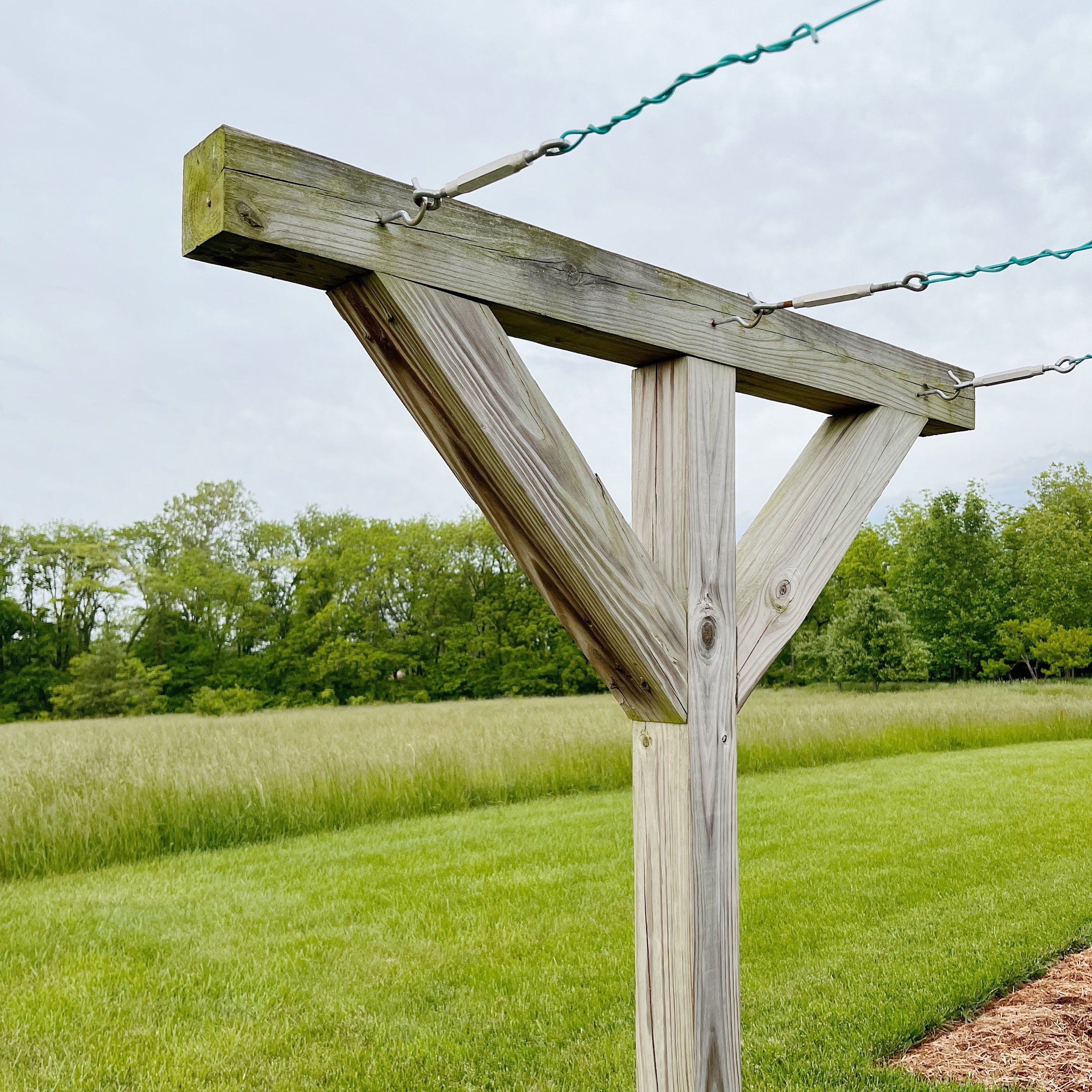 The Simple Clothesline — My Simply Simple