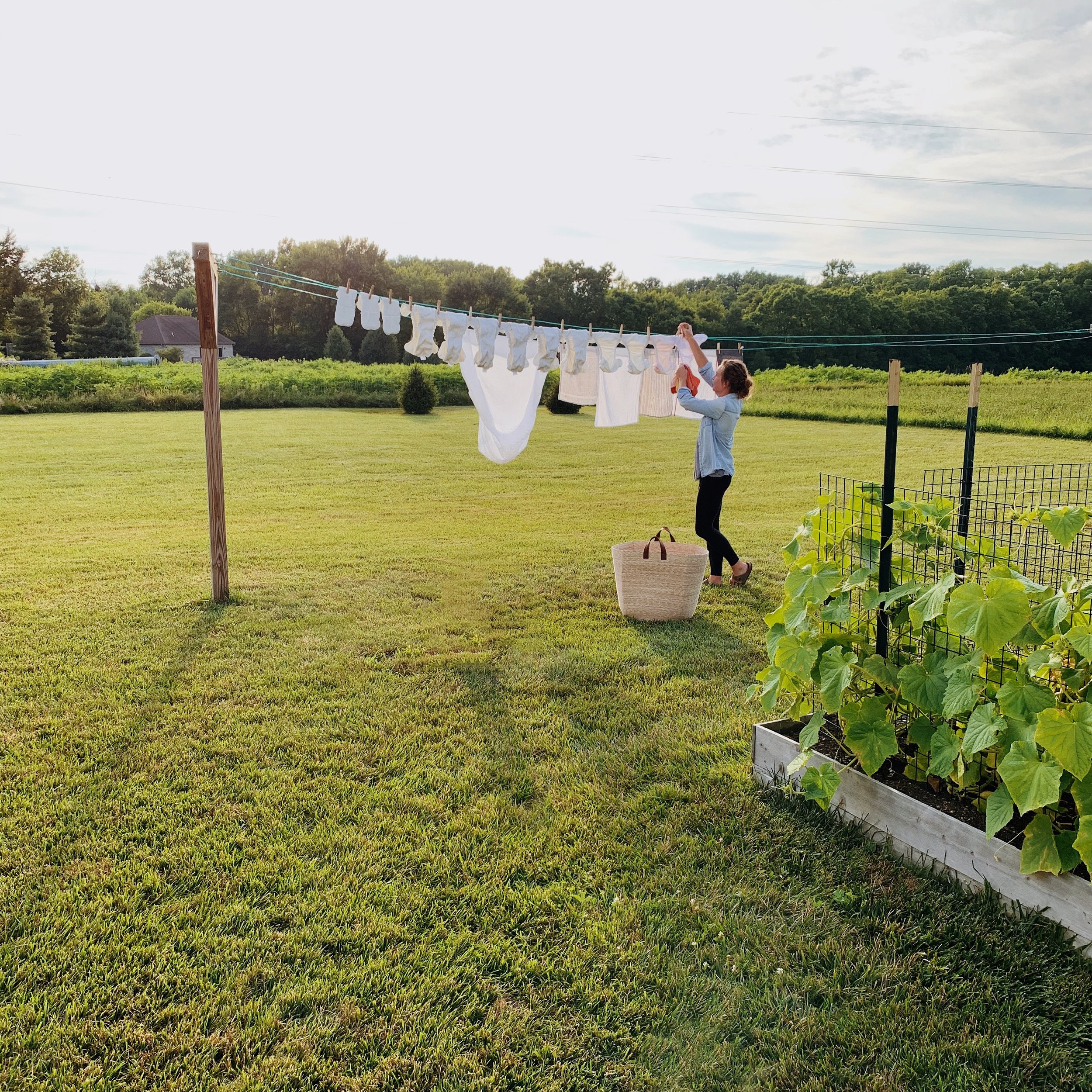 The Simple Clothesline — My Simply Simple