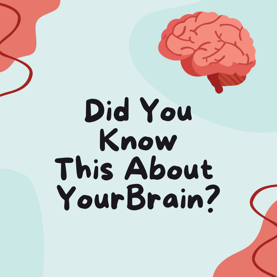 Did You Know This About Your Brain?