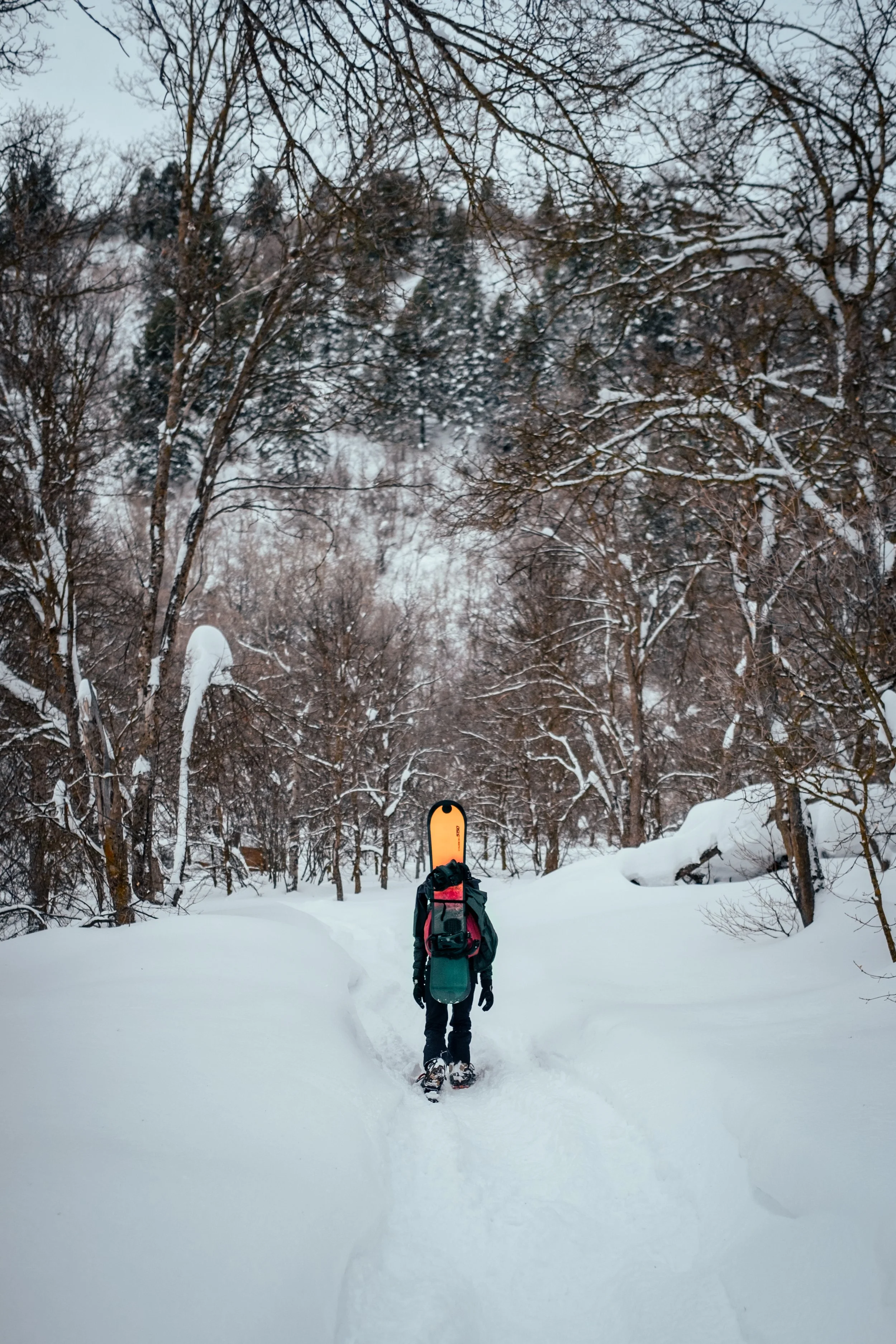 DSCF0029-Edit - Copy.JPG