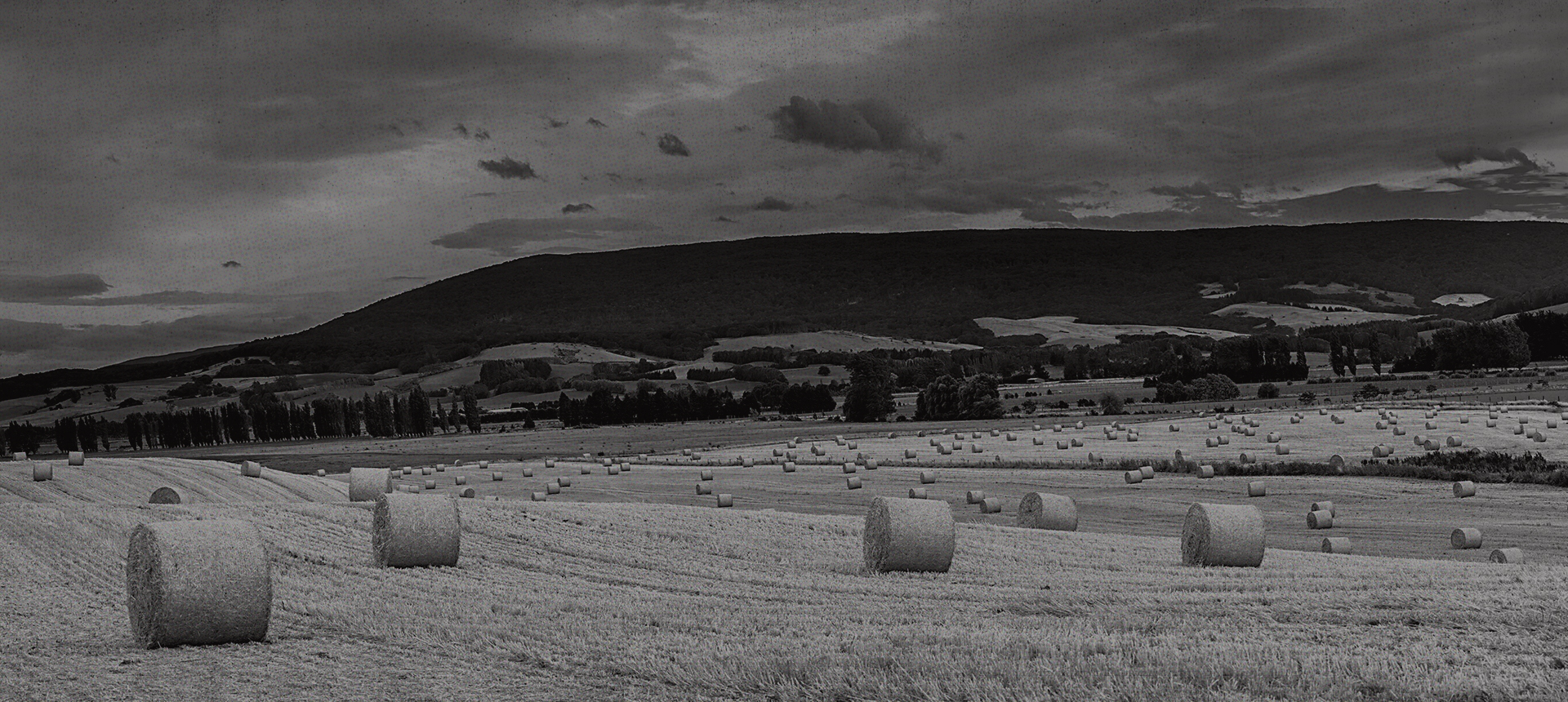 About Us_ Slide 1.jpg