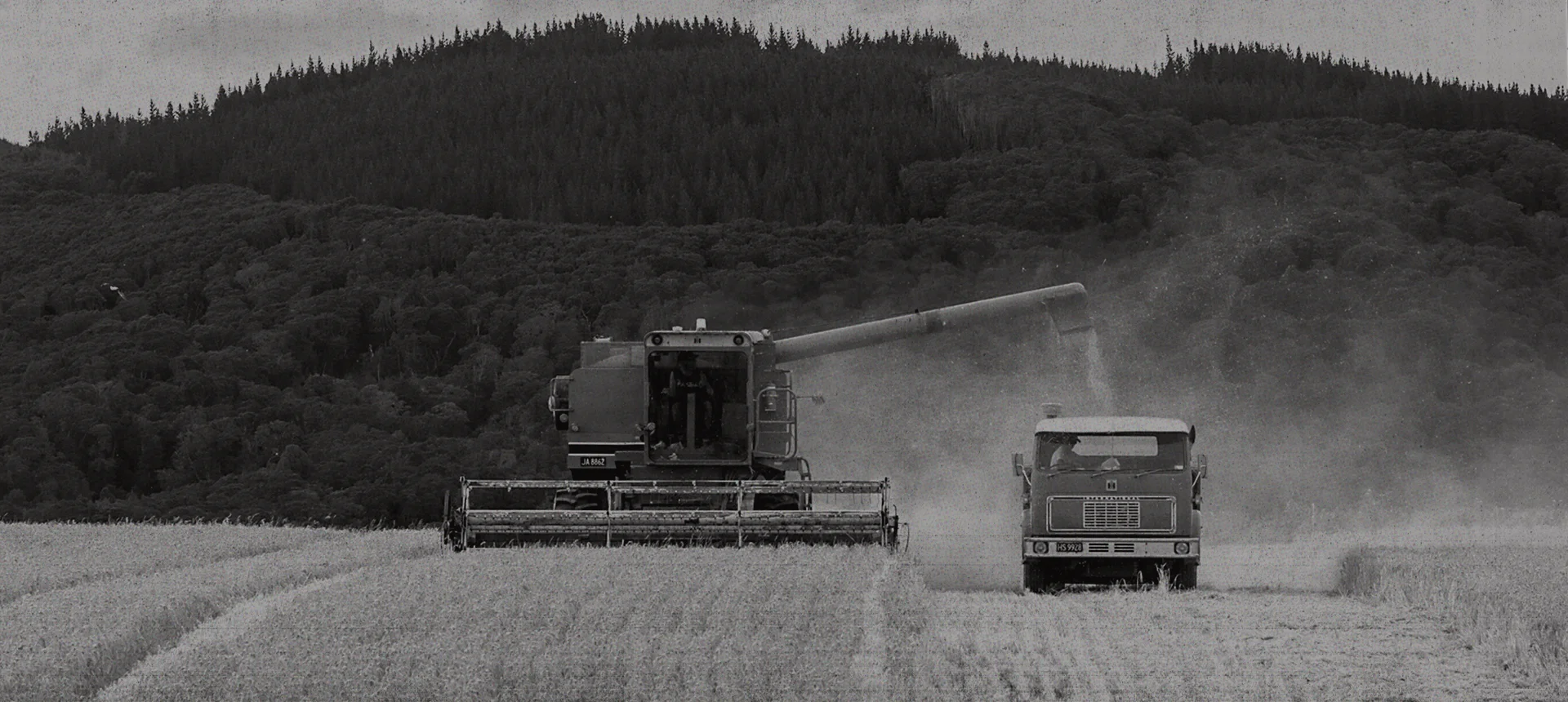 Harvest Barrels_ Slide 1.jpg