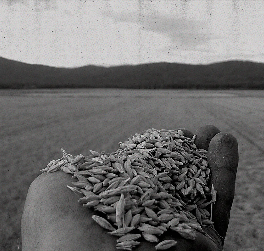 Harvest Cask Page_ Tour Farm Image.jpg