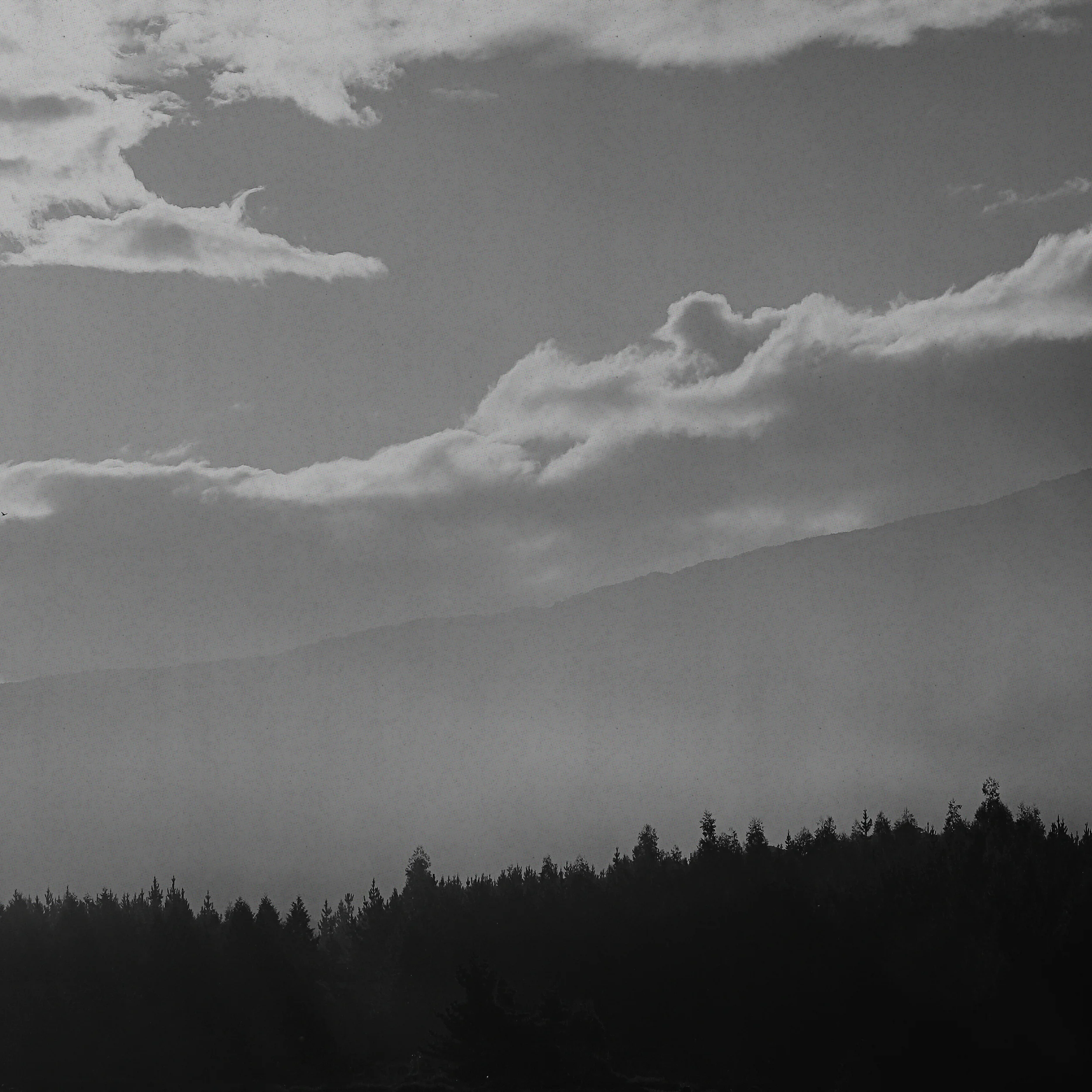 Auld Society Signup Image.jpg