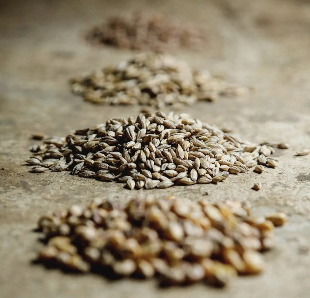 Five Grains. One Farm. Five Very Different Possibilities.