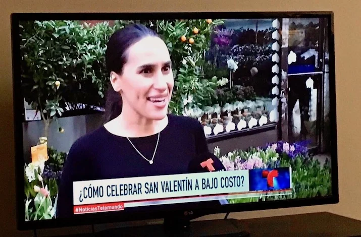 latina influencer be chic mag
