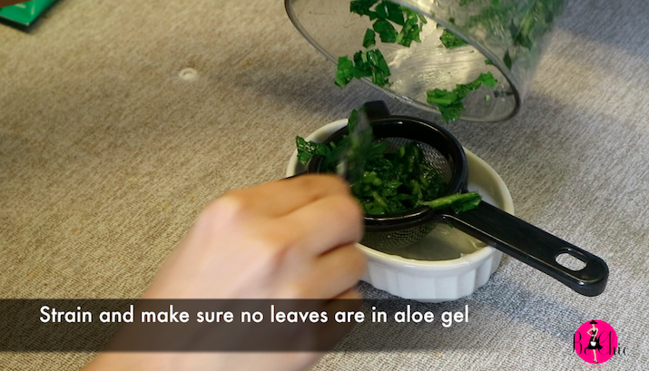 beauty blogger.png